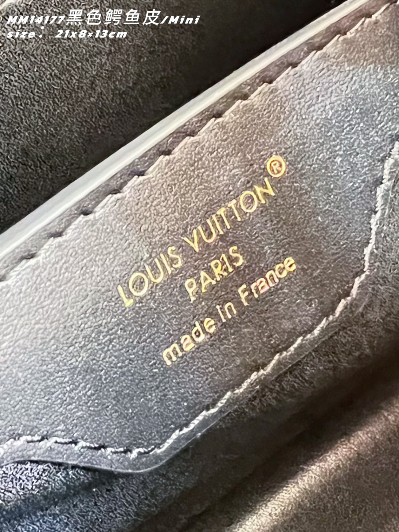 Louis Vuitton Basic Bag Cow Leather M-l-s