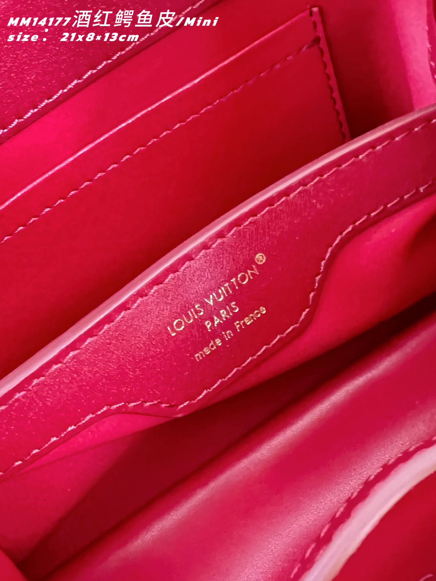 Louis Vuitton Basic Bag Cow Leather M-l-s