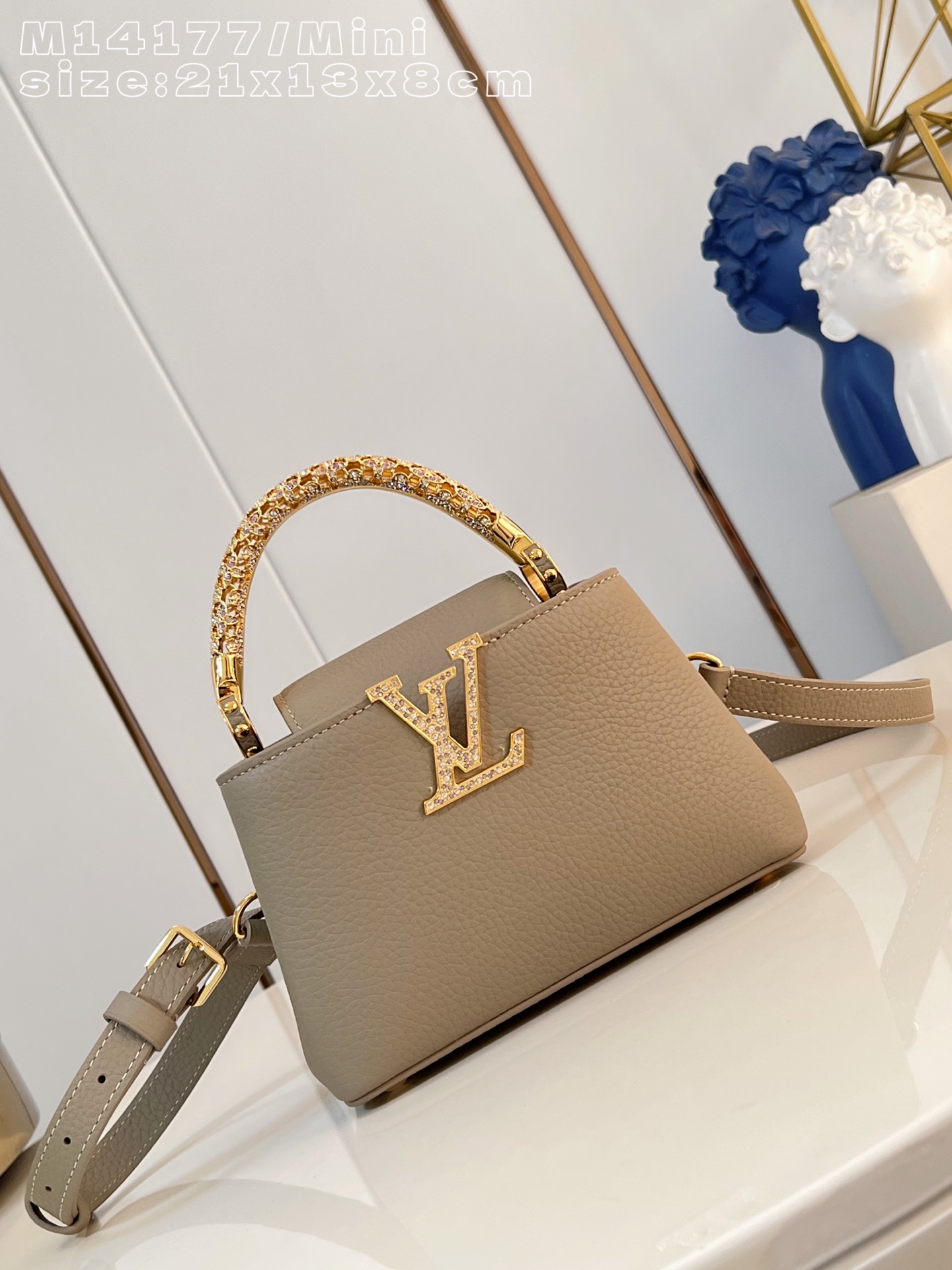 Louis Vuitton Basic Bag Cow Leather M-l-s