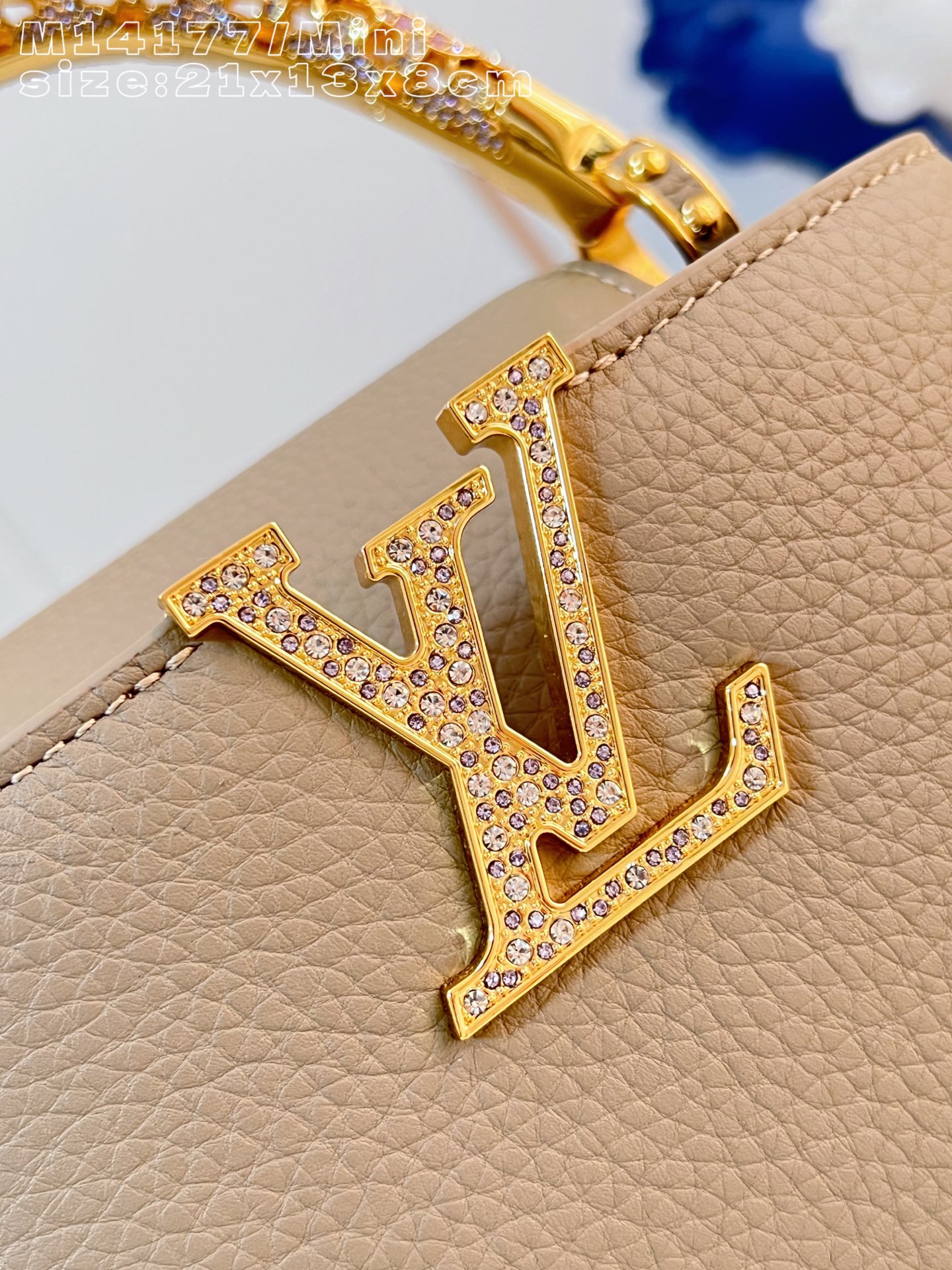 Louis Vuitton Basic Bag Cow Leather M-l-s