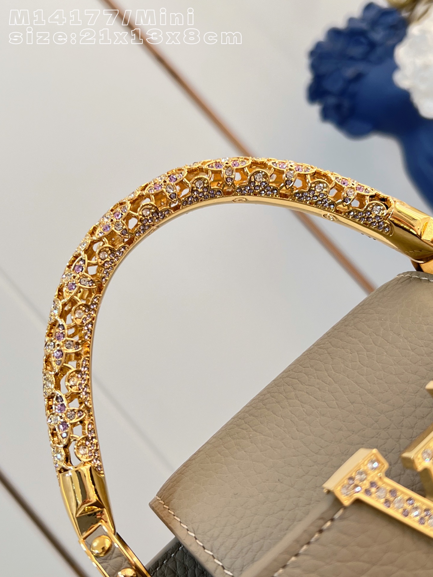 Louis Vuitton Basic Bag Cow Leather M-l-s