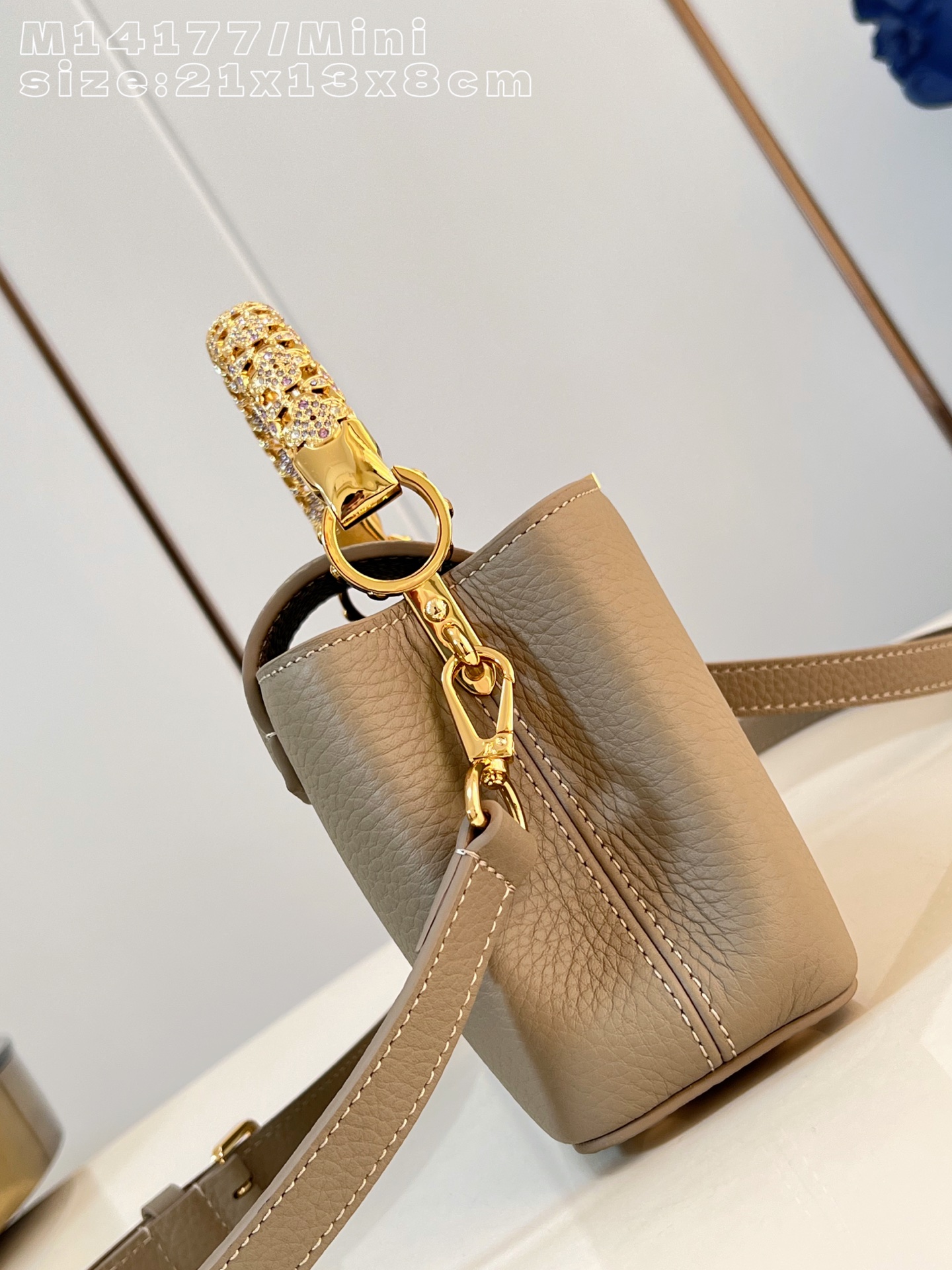 Louis Vuitton Basic Bag Cow Leather M-l-s