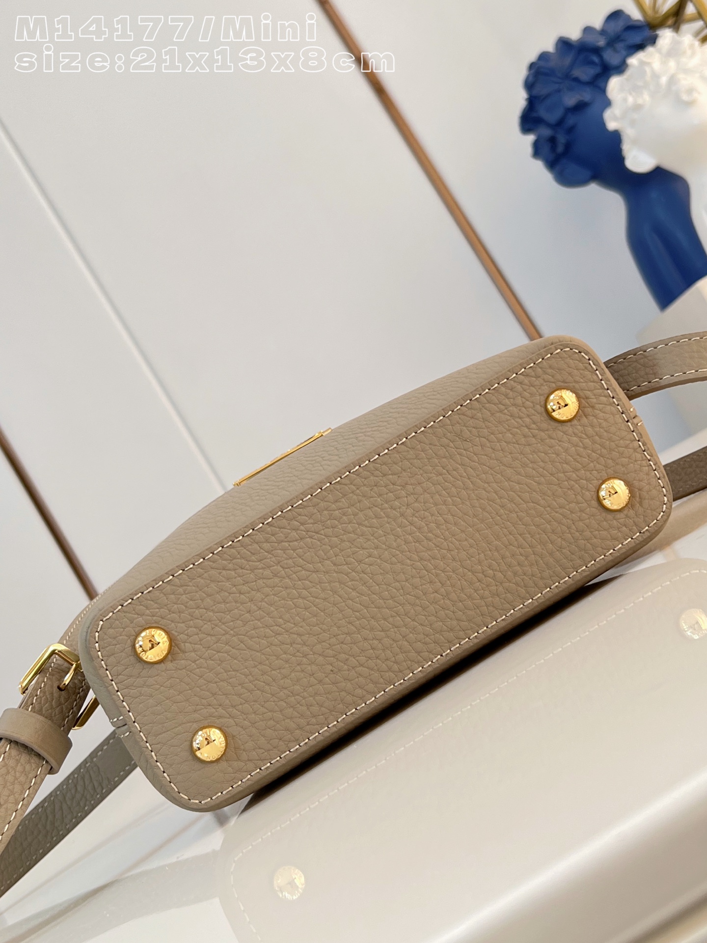 Louis Vuitton Basic Bag Cow Leather M-l-s