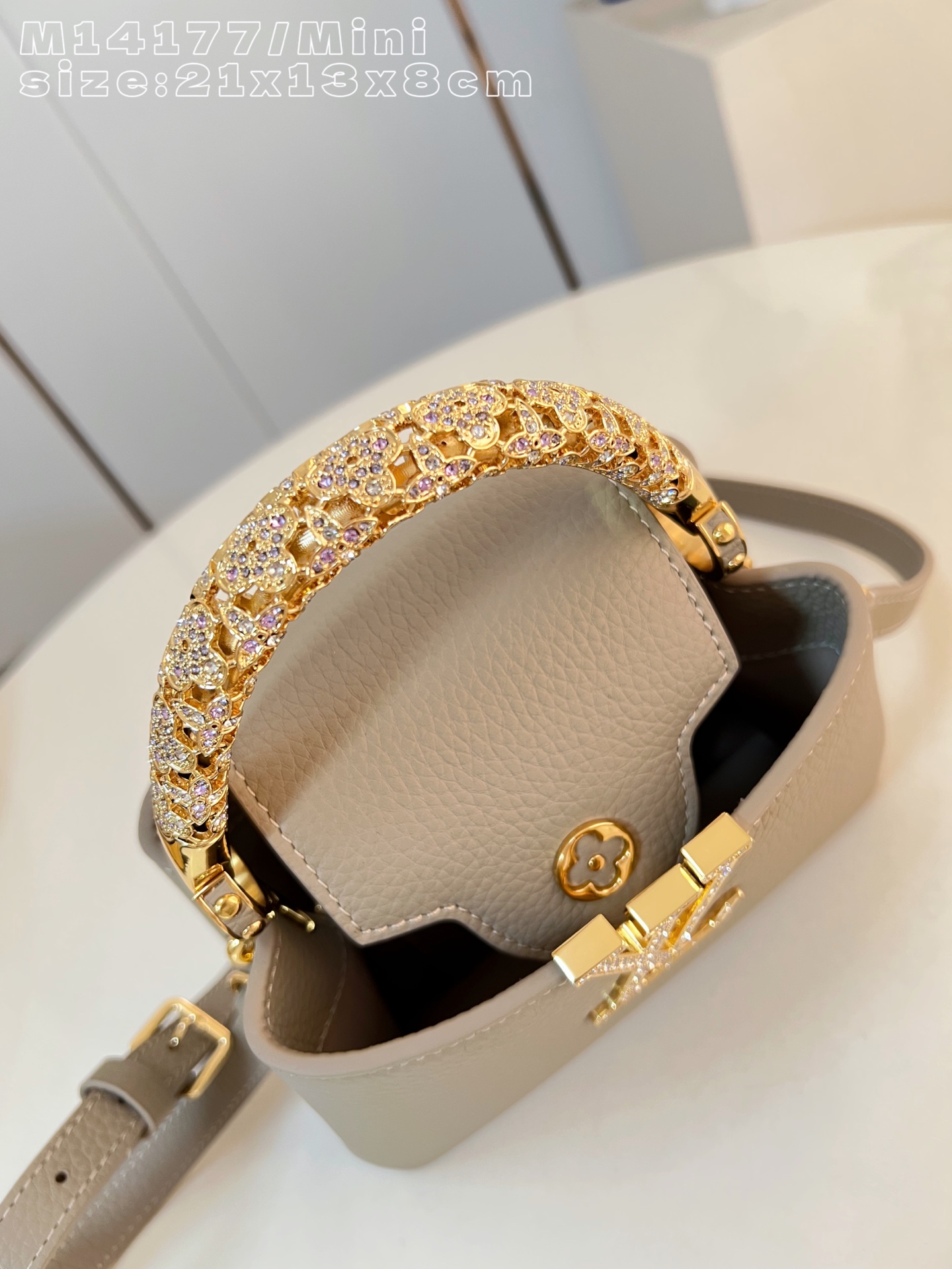 Louis Vuitton Basic Bag Cow Leather M-l-s