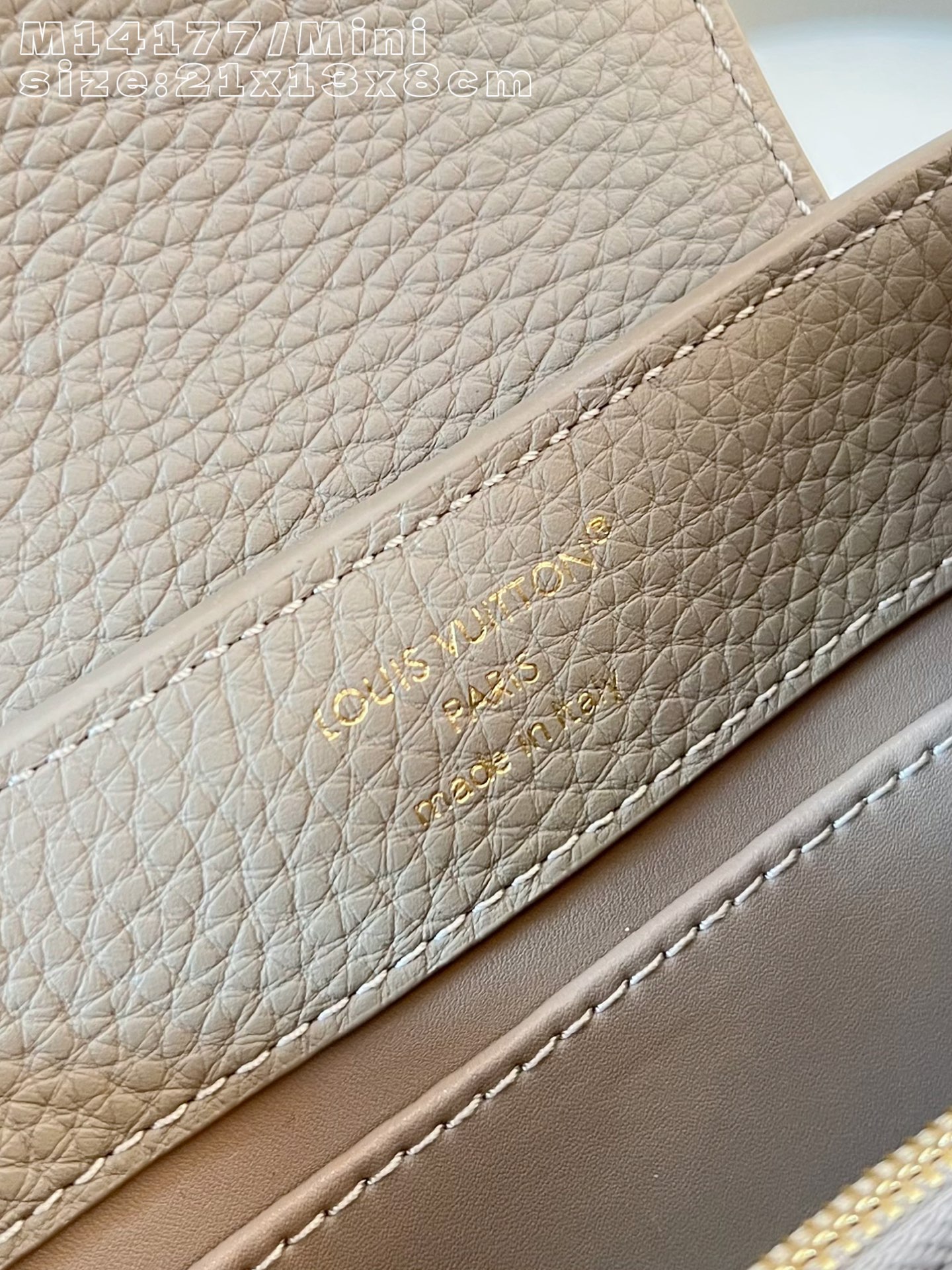 Louis Vuitton Basic Bag Cow Leather M-l-s