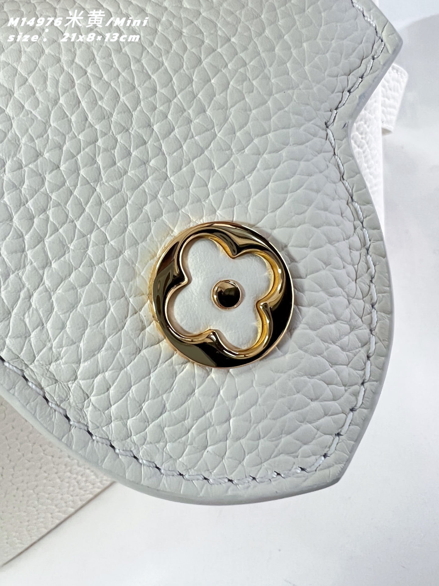 Louis Vuitton Basic Bag Gold M-l-s