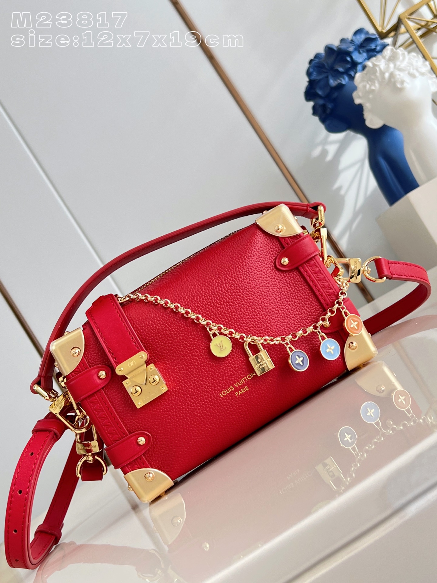 Louis Vuitton Basic Bag Cow Leather M-l-s