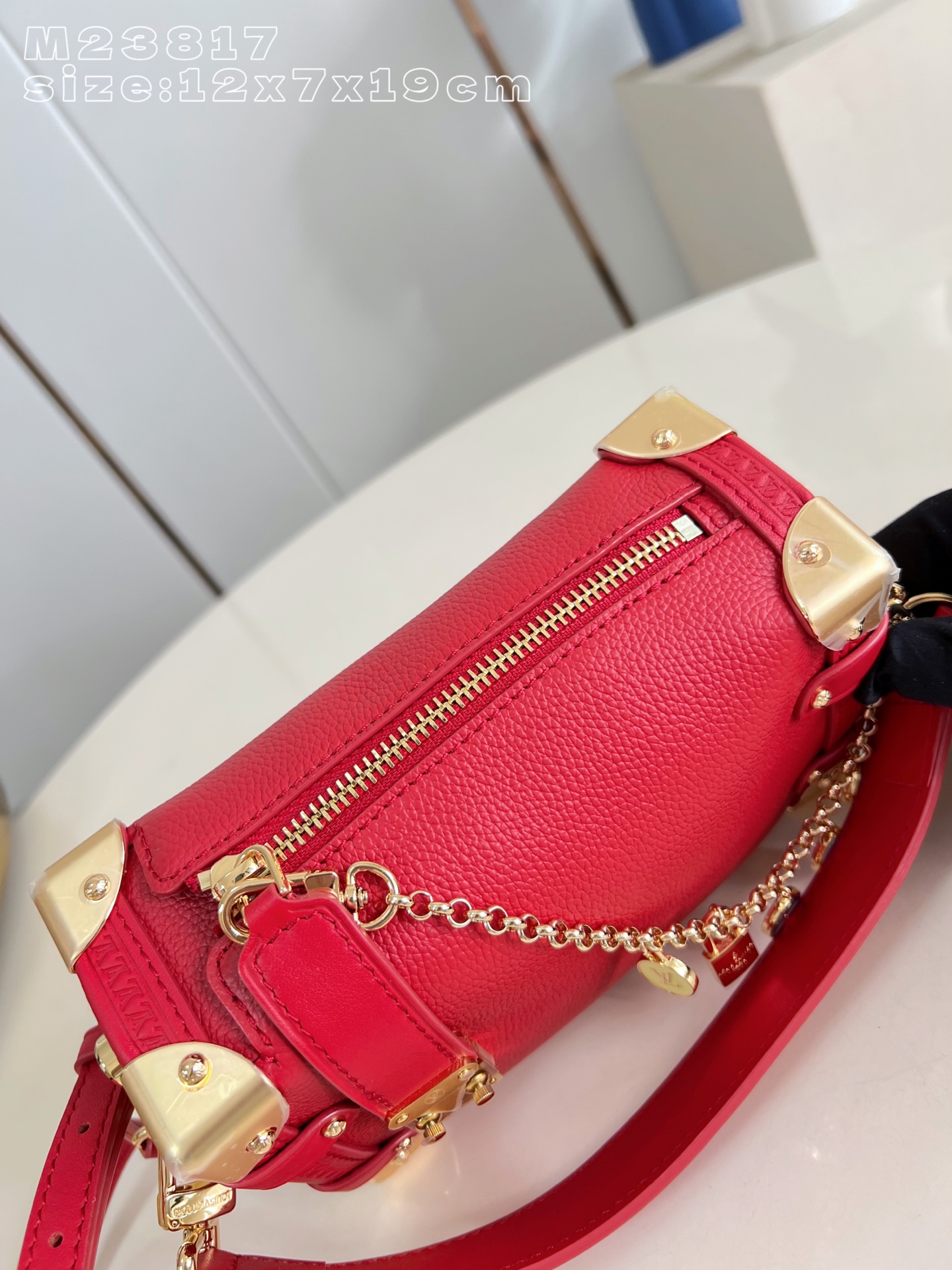 Louis Vuitton Basic Bag Cow Leather M-l-s