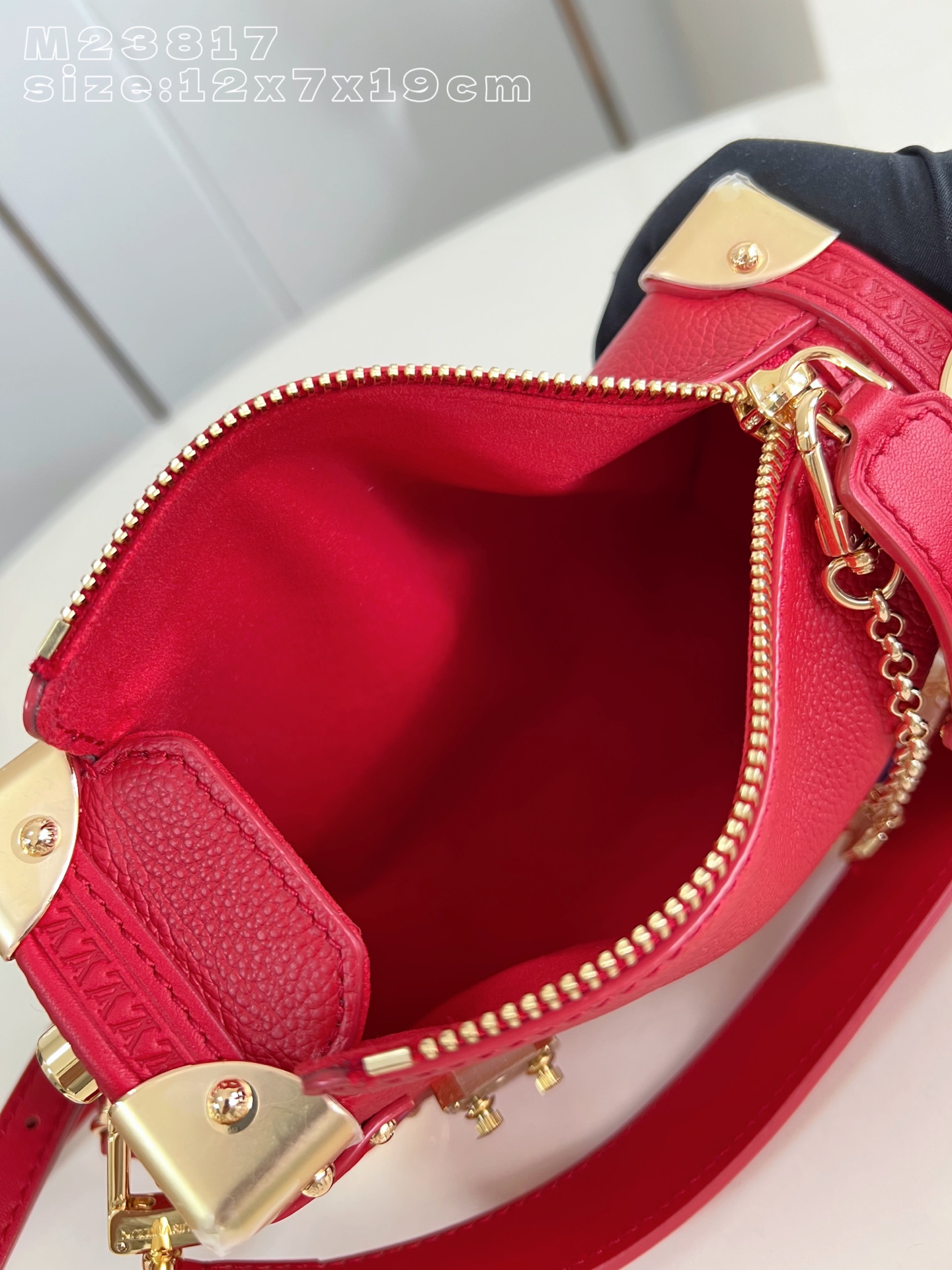 Louis Vuitton Basic Bag Cow Leather M-l-s