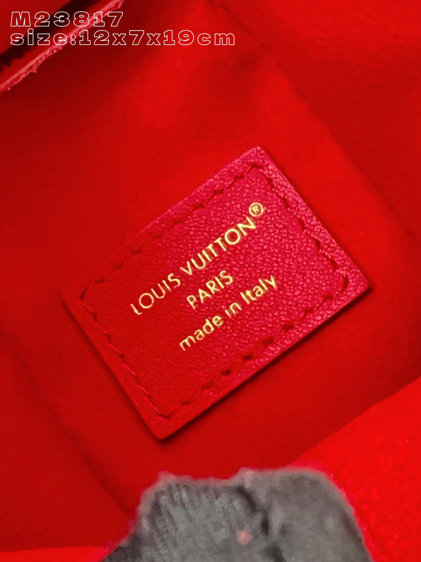 Louis Vuitton Basic Bag Cow Leather M-l-s