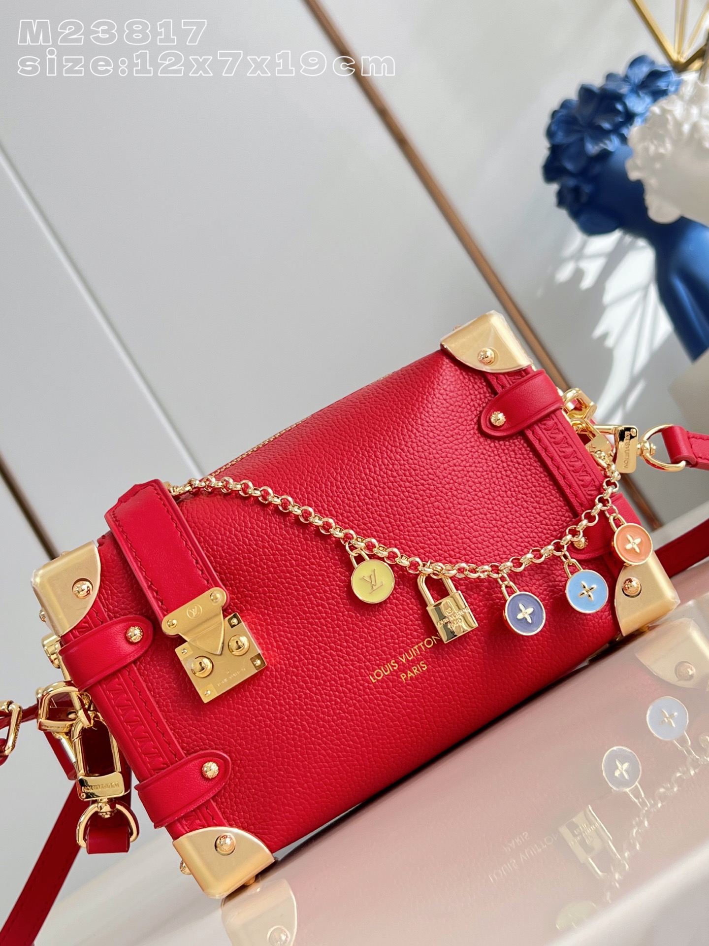 Louis Vuitton Basic Bag Cow Leather M-l-s