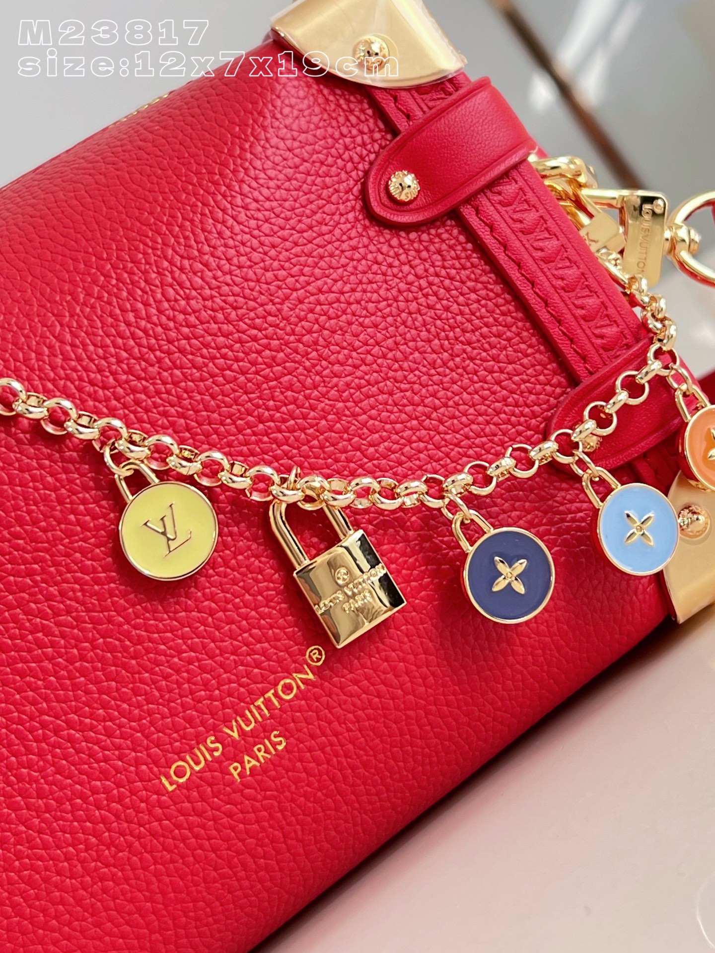 Louis Vuitton Basic Bag Cow Leather M-l-s