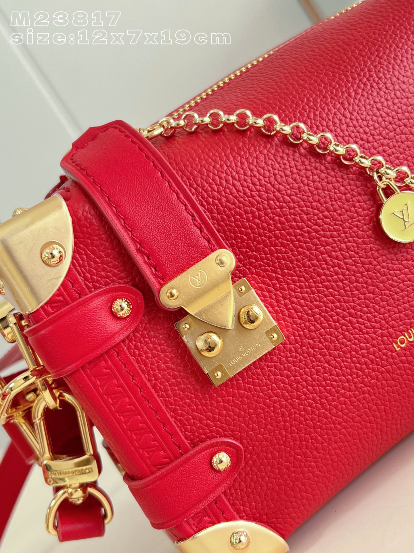 Louis Vuitton Basic Bag Cow Leather M-l-s