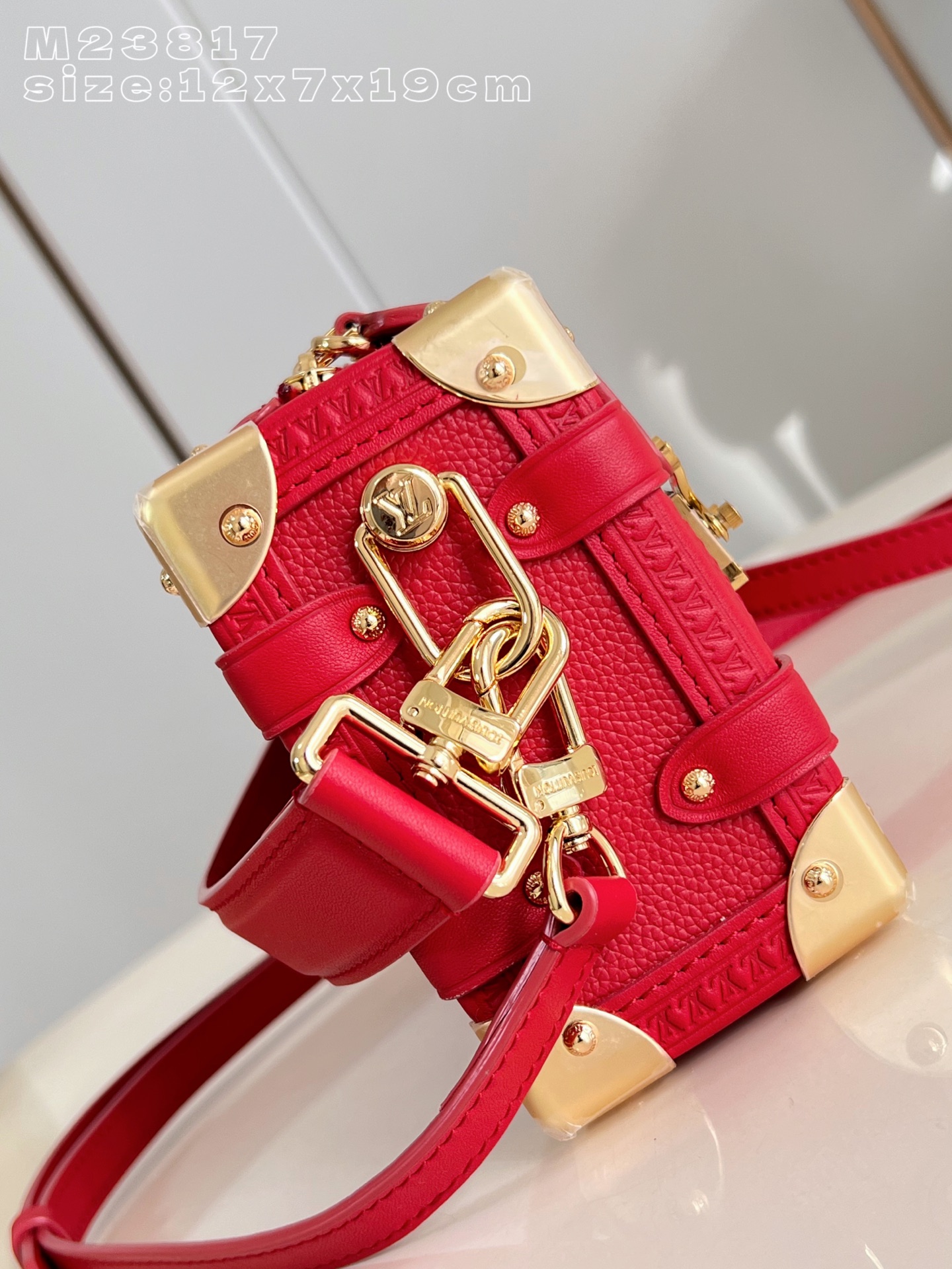 Louis Vuitton Basic Bag Cow Leather M-l-s