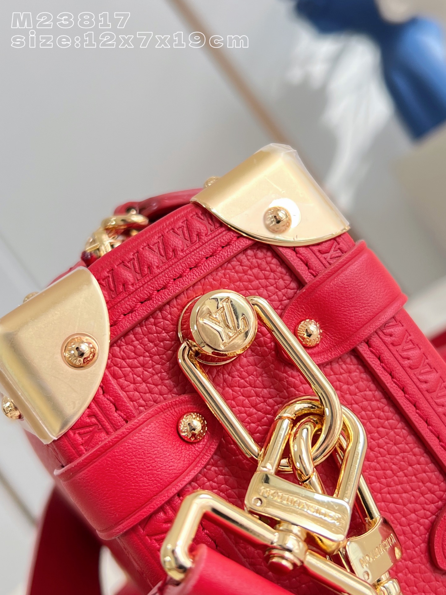 Louis Vuitton Basic Bag Cow Leather M-l-s