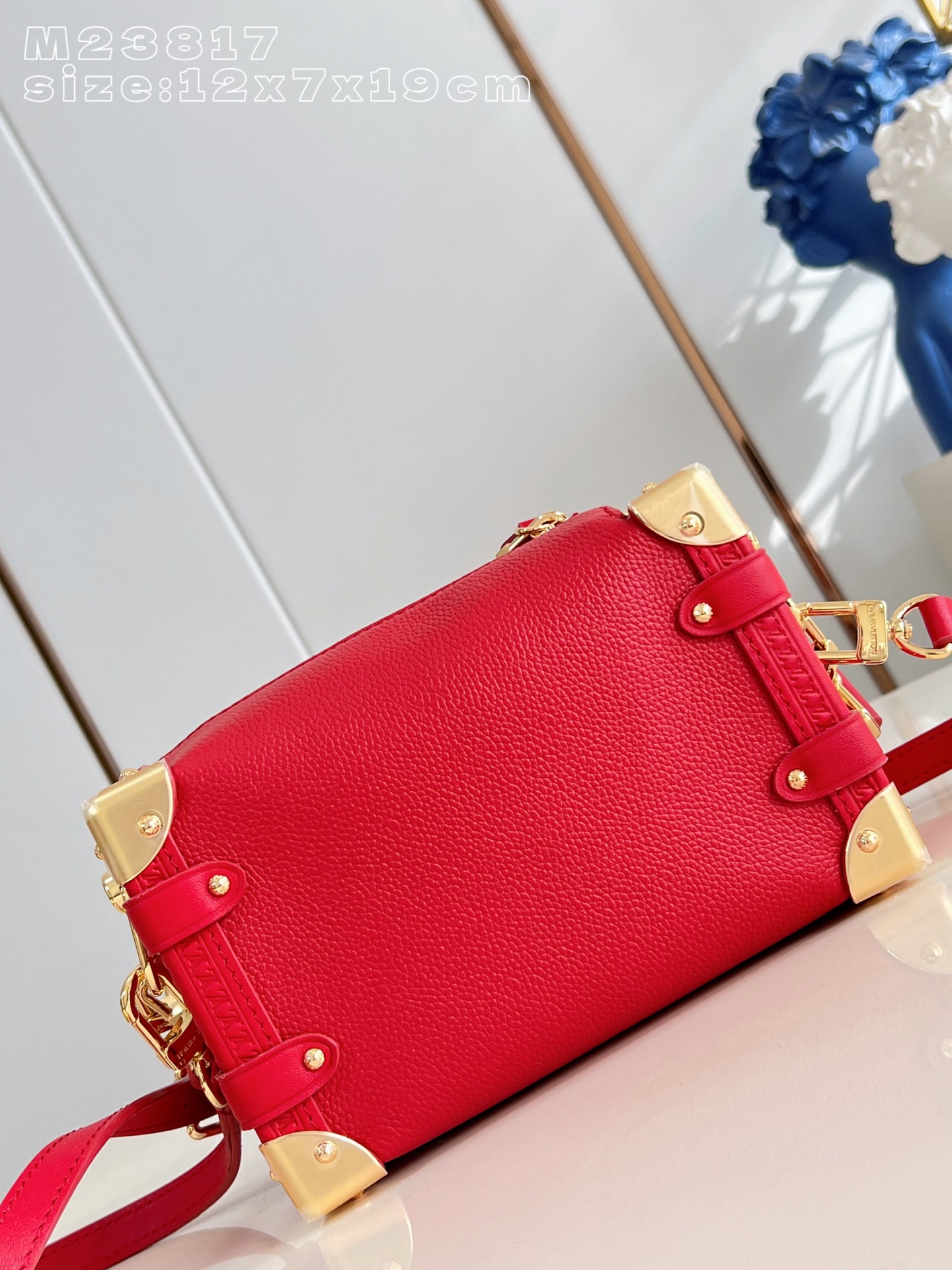 Louis Vuitton Basic Bag Cow Leather M-l-s