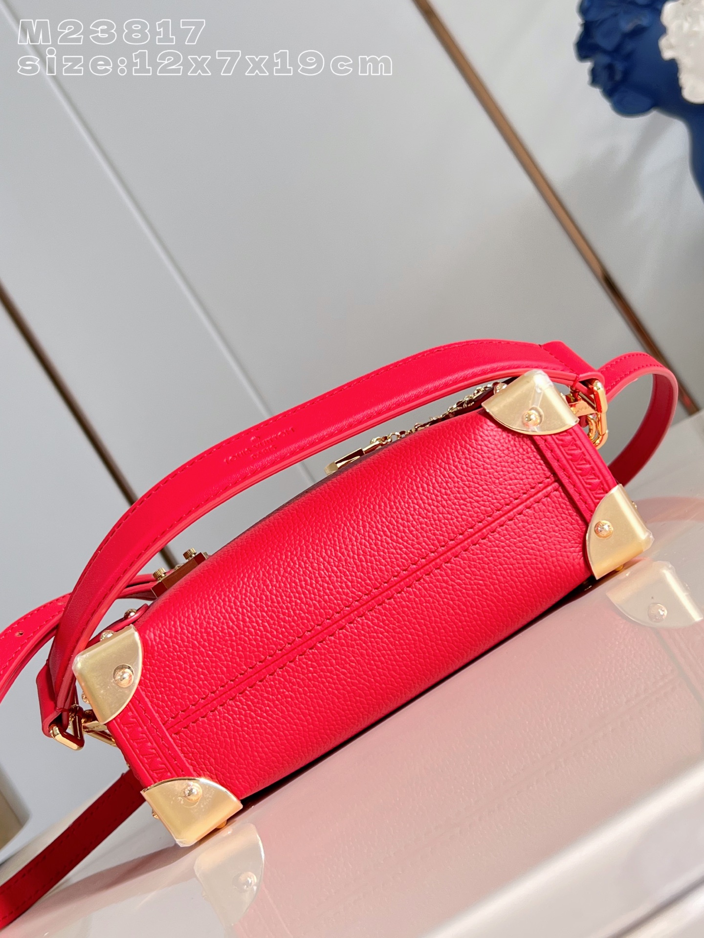 Louis Vuitton Basic Bag Cow Leather M-l-s