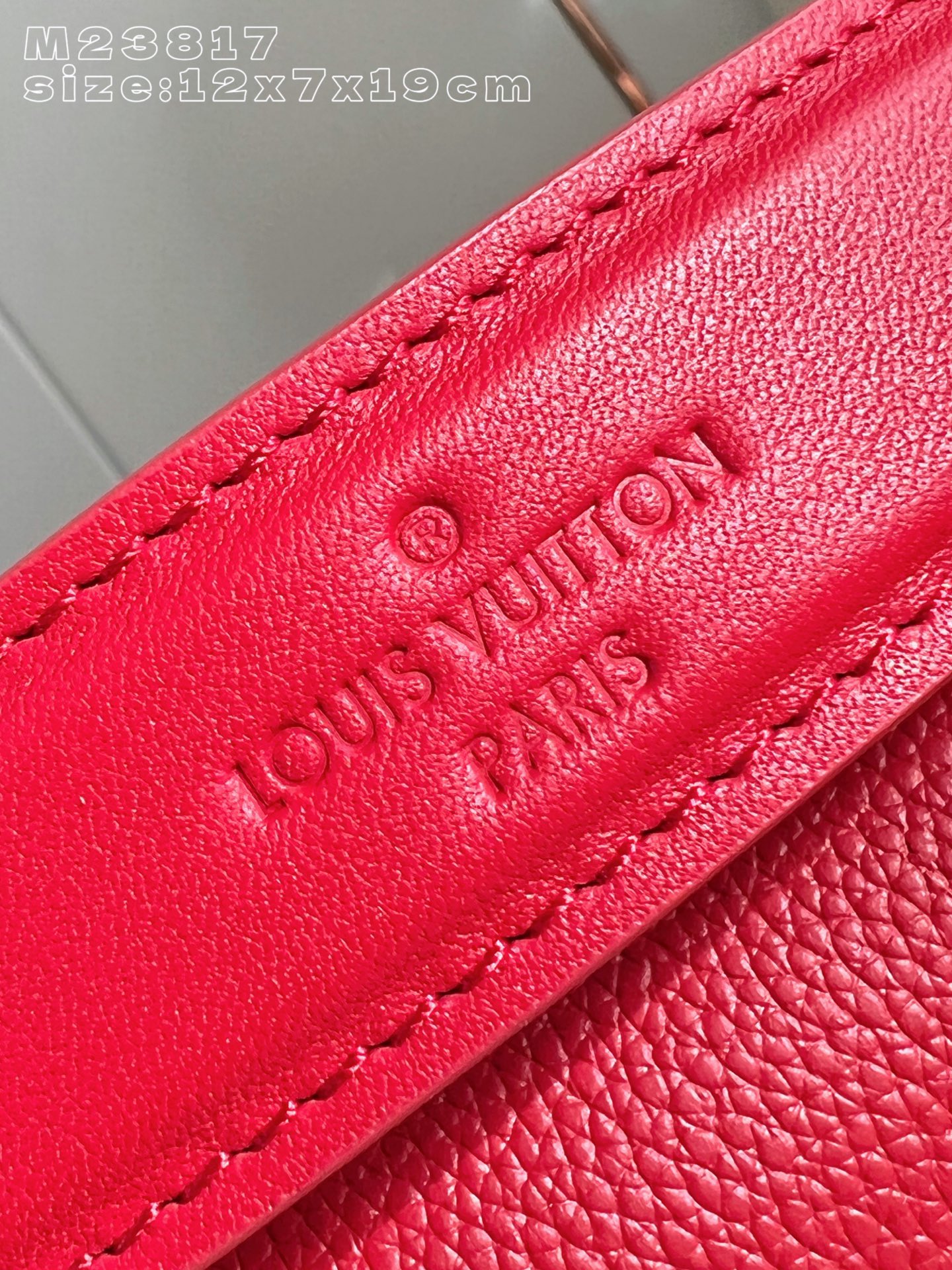 Louis Vuitton Basic Bag Cow Leather M-l-s