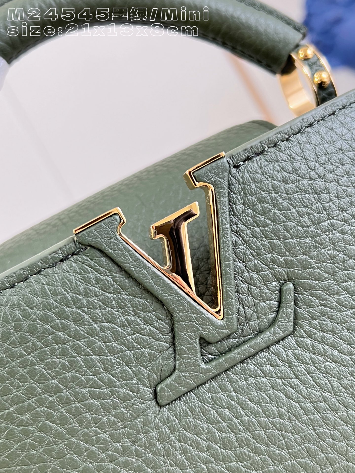 Louis Vuitton Basic Bag Cow Leather M-l-s