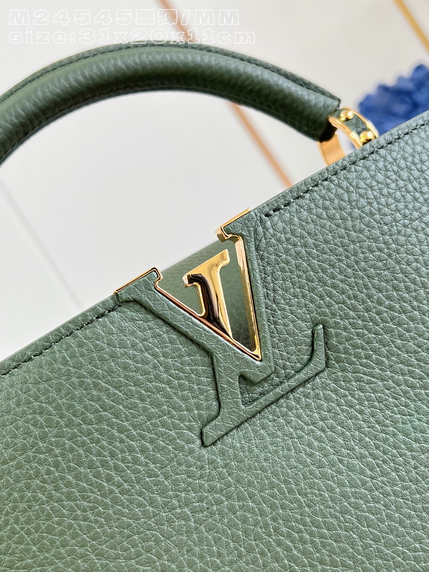 Louis Vuitton Basic Bag Cow Leather M-l-s