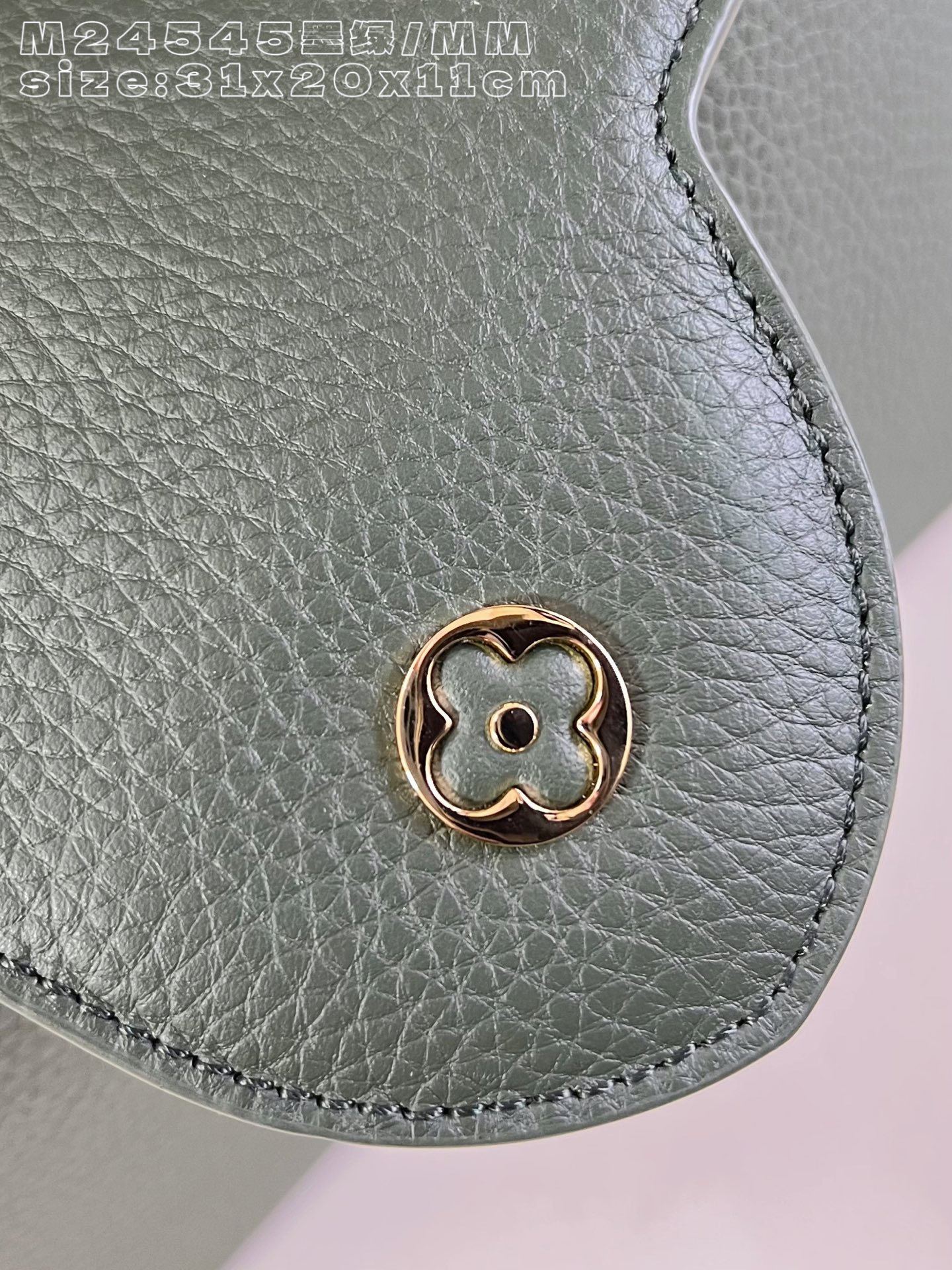 Louis Vuitton Basic Bag Cow Leather M-l-s