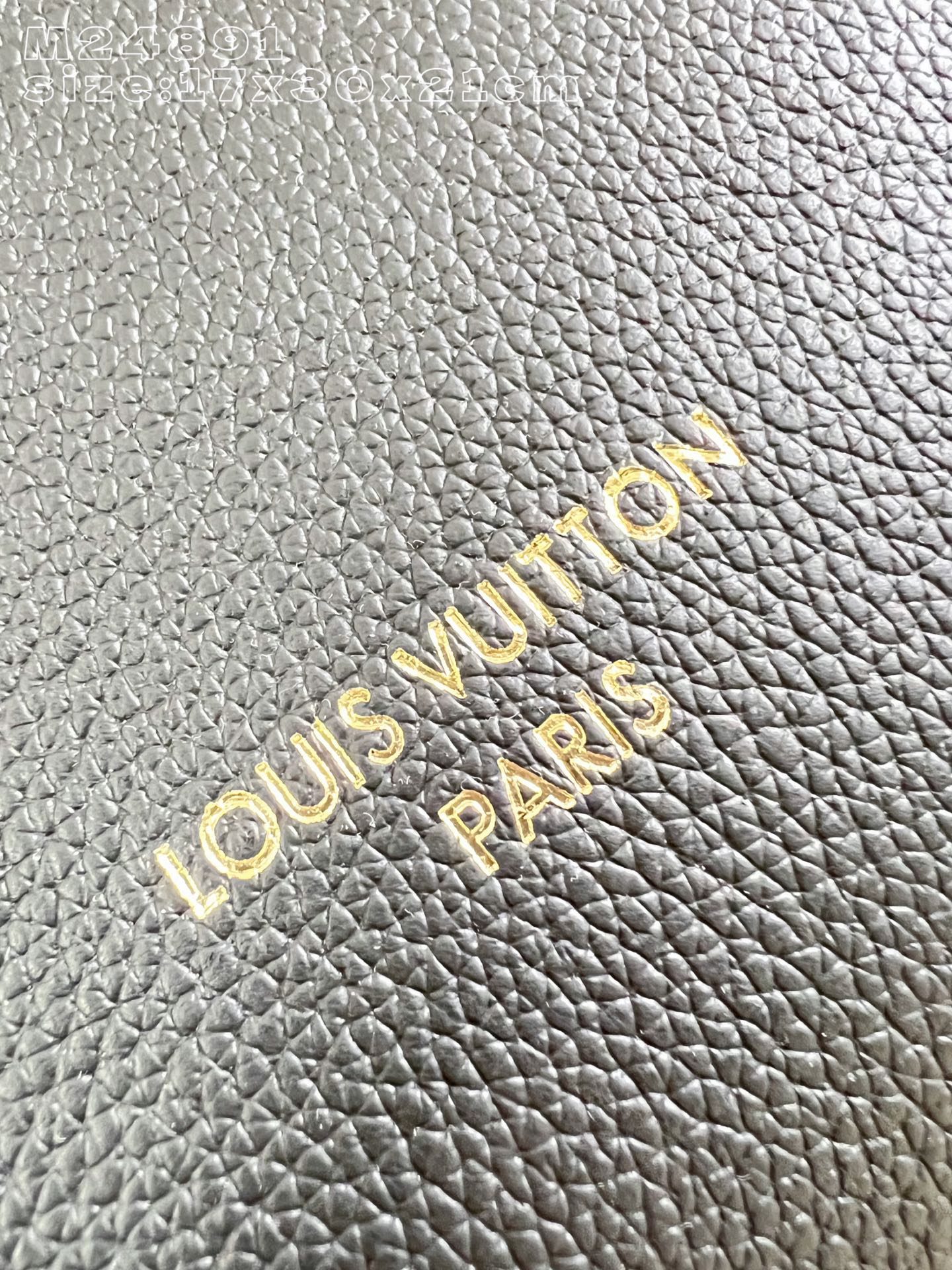 Louis Vuitton Basic Bag Cow Leather M-l-s