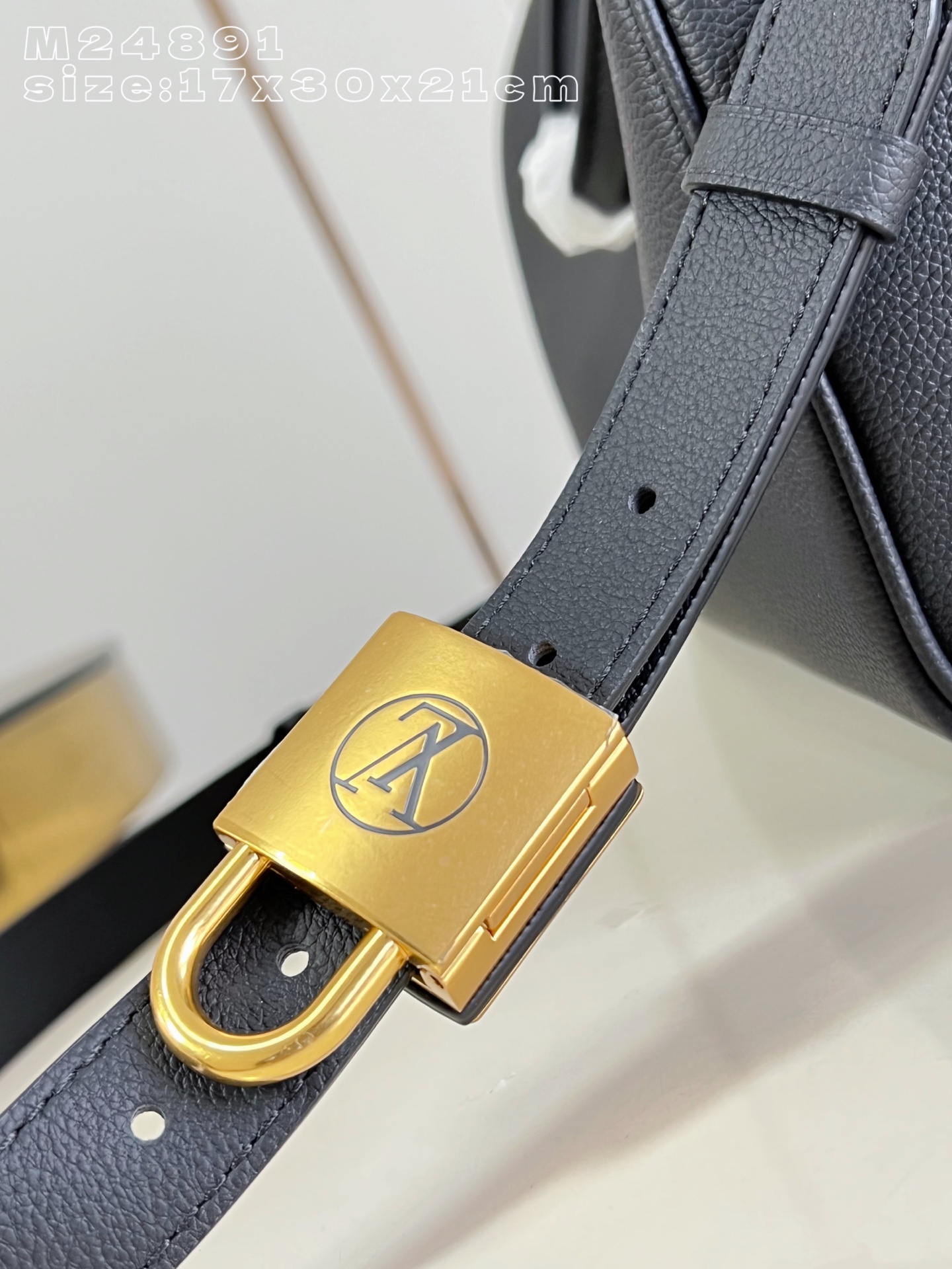 Louis Vuitton Basic Bag Cow Leather M-l-s