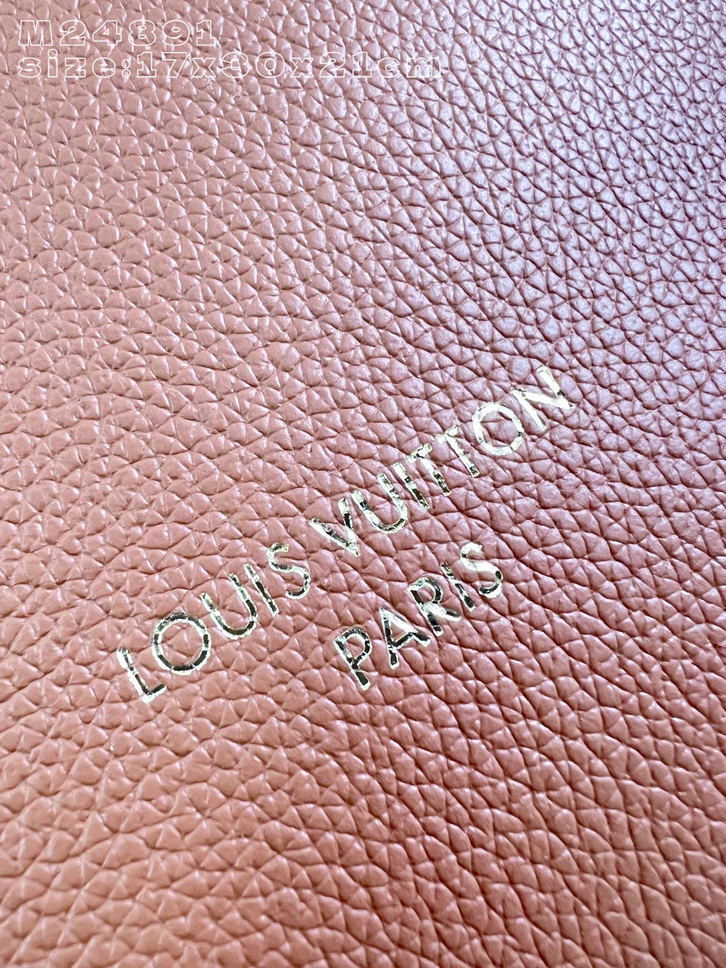 Louis Vuitton Basic Bag Cow Leather M-l-s