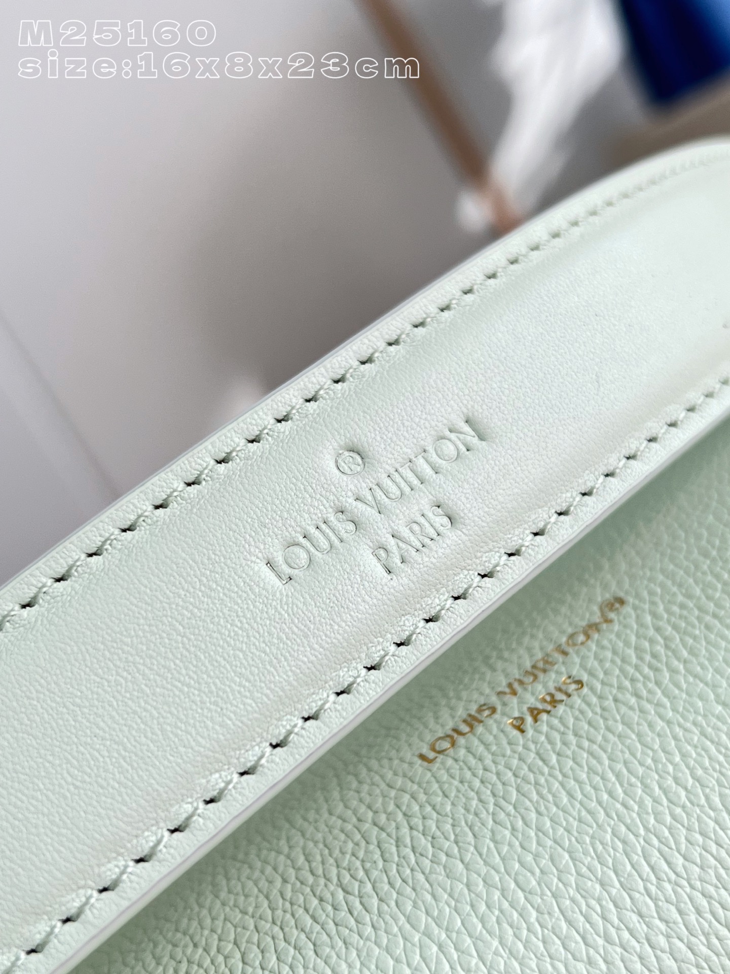 Louis Vuitton Basic Bag Cow Leather M-l-s