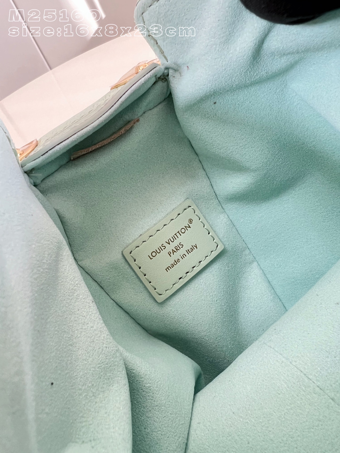 Louis Vuitton Basic Bag Cow Leather M-l-s