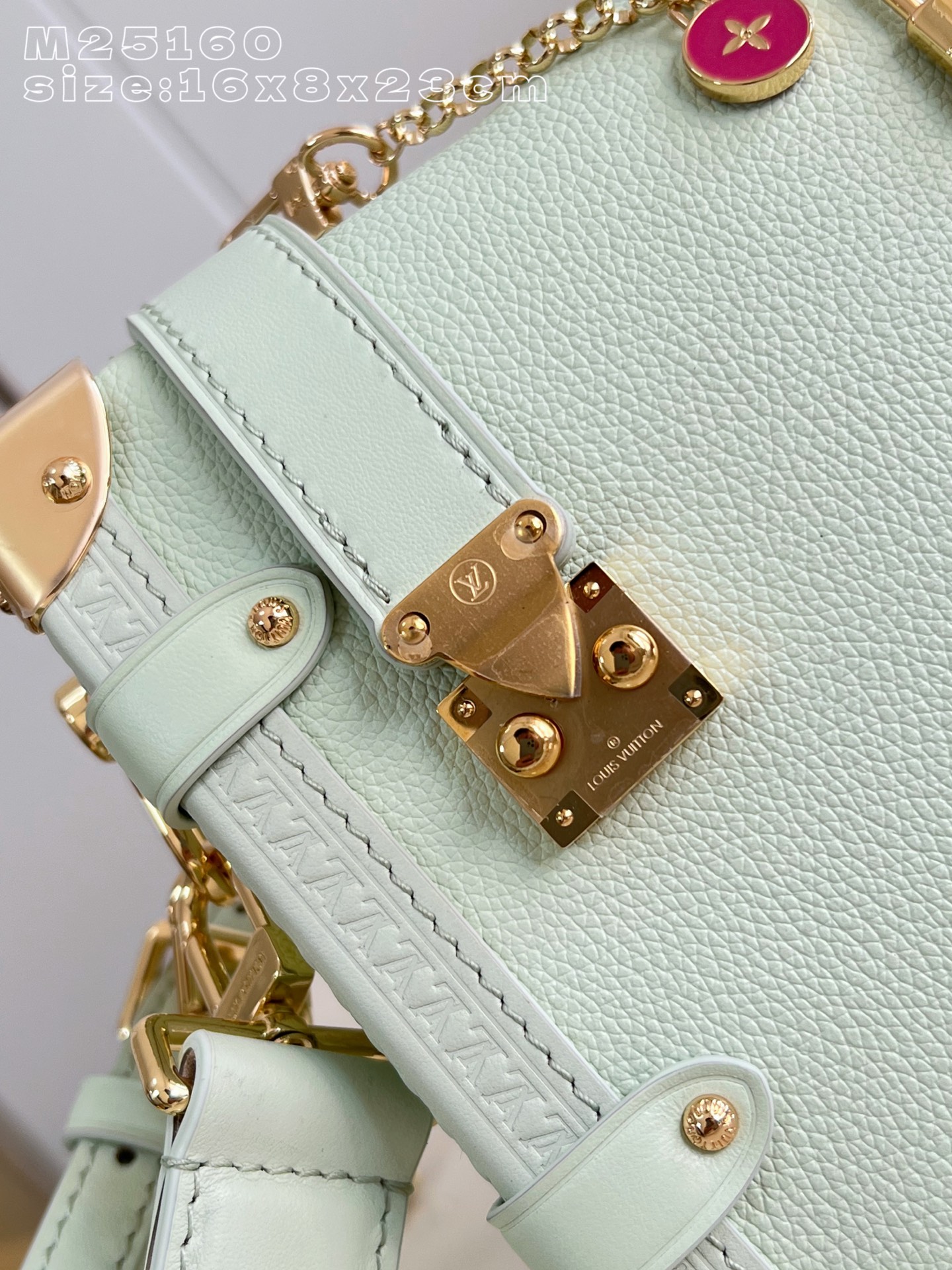 Louis Vuitton Basic Bag Cow Leather M-l-s