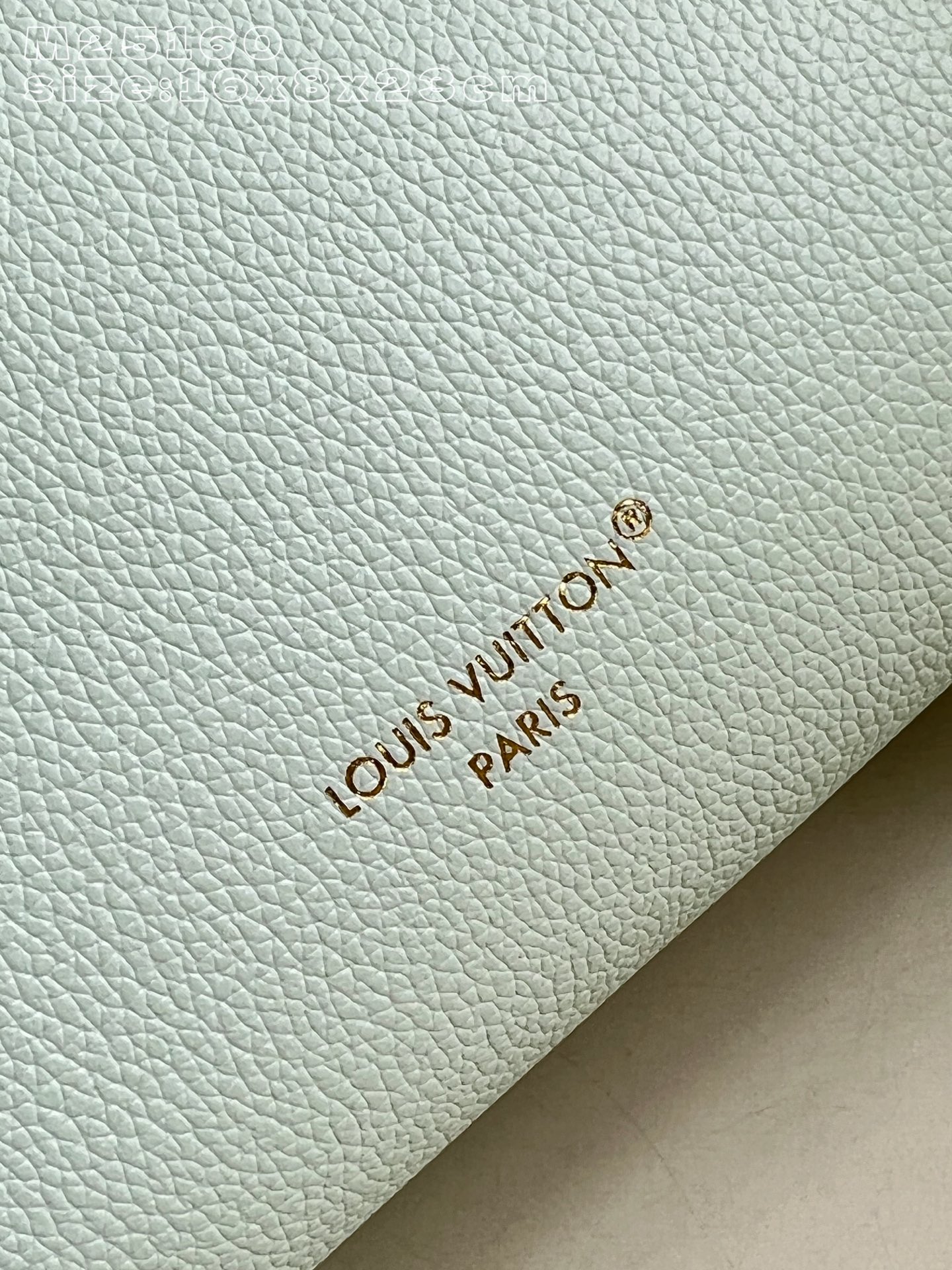 Louis Vuitton Basic Bag Cow Leather M-l-s