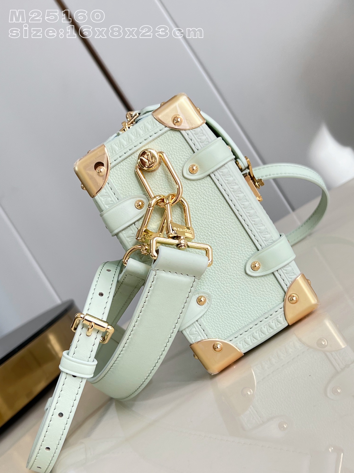 Louis Vuitton Basic Bag Cow Leather M-l-s