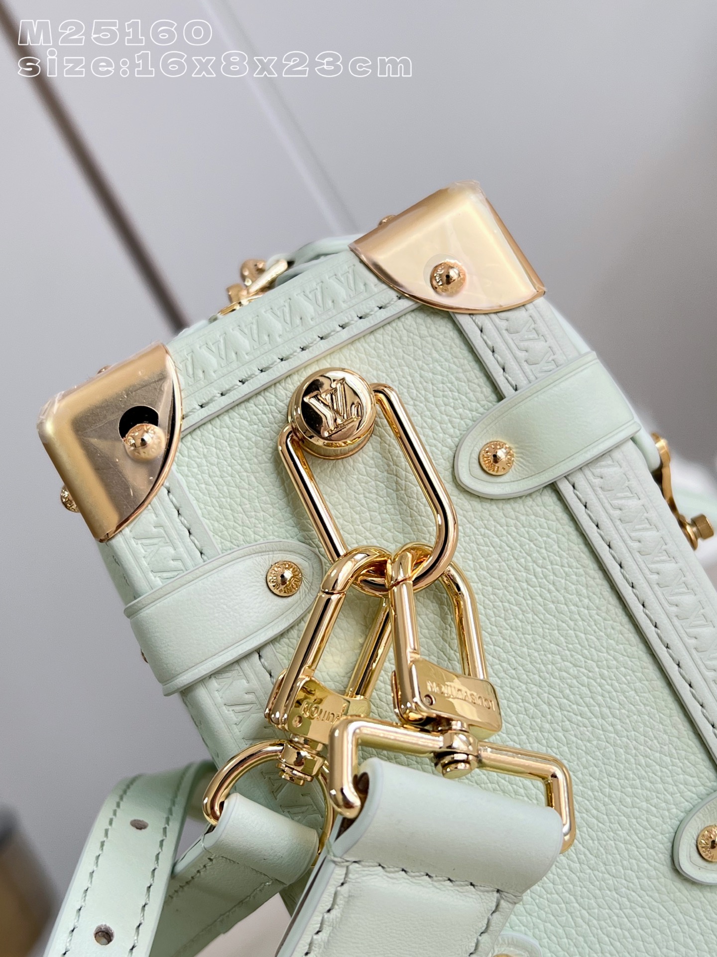 Louis Vuitton Basic Bag Cow Leather M-l-s