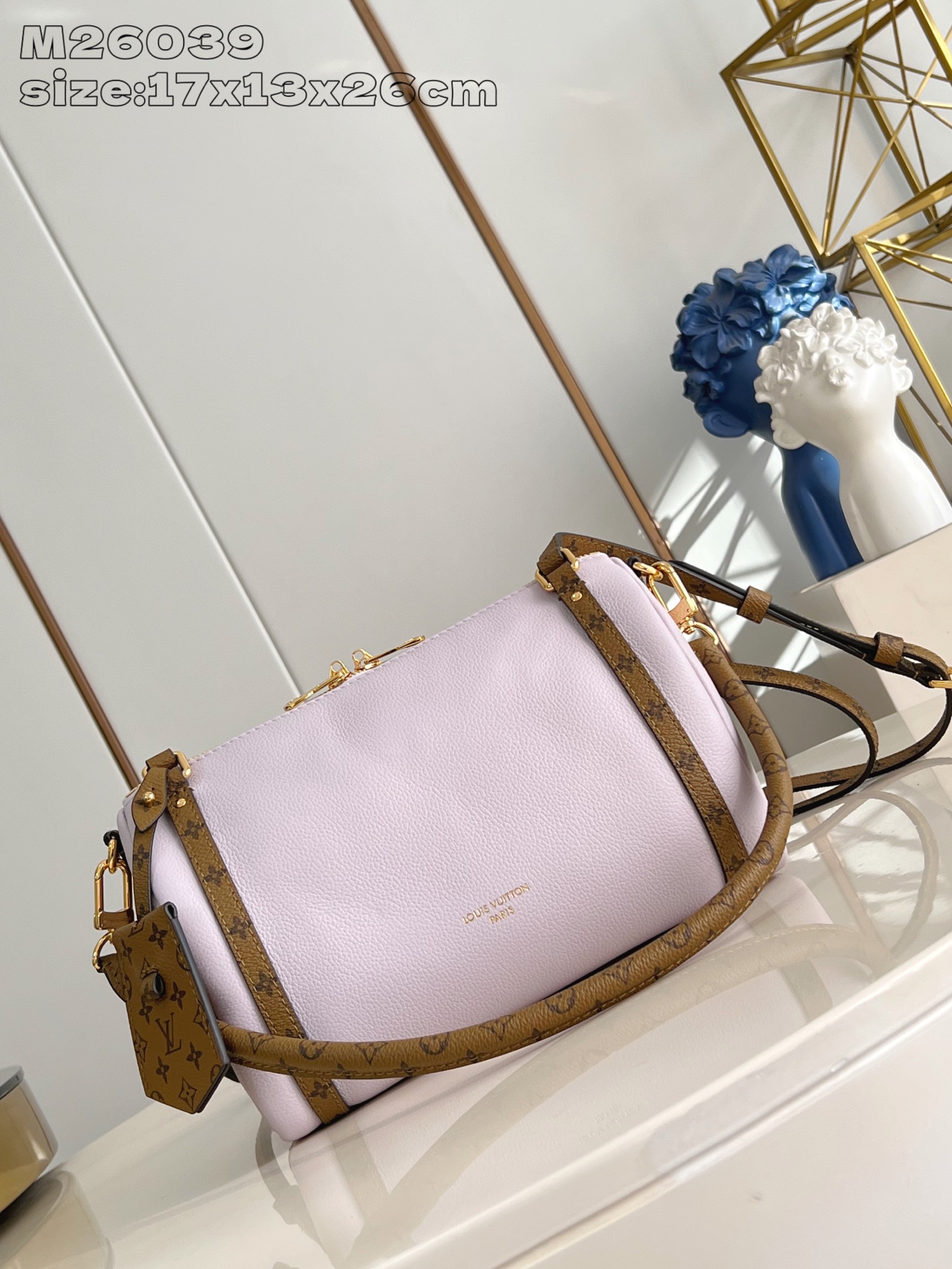 Louis Vuitton Basic Bag Cow Leather M-l-s