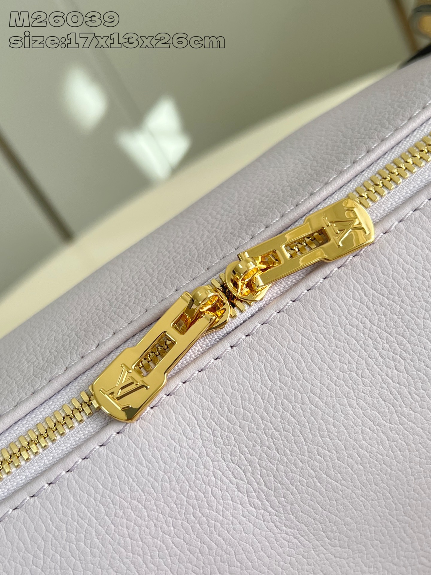 Louis Vuitton Basic Bag Cow Leather M-l-s