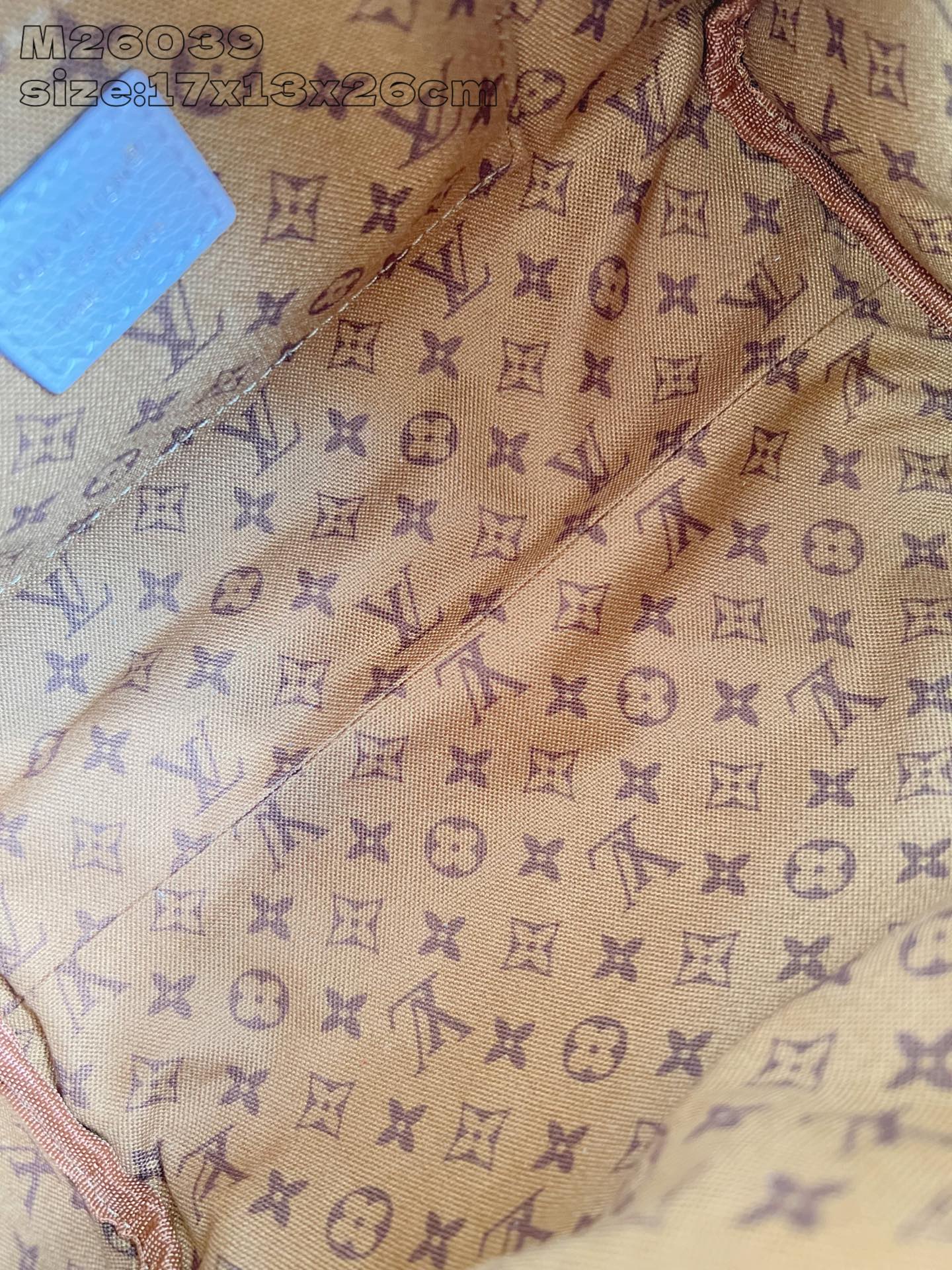 Louis Vuitton Basic Bag Cow Leather M-l-s
