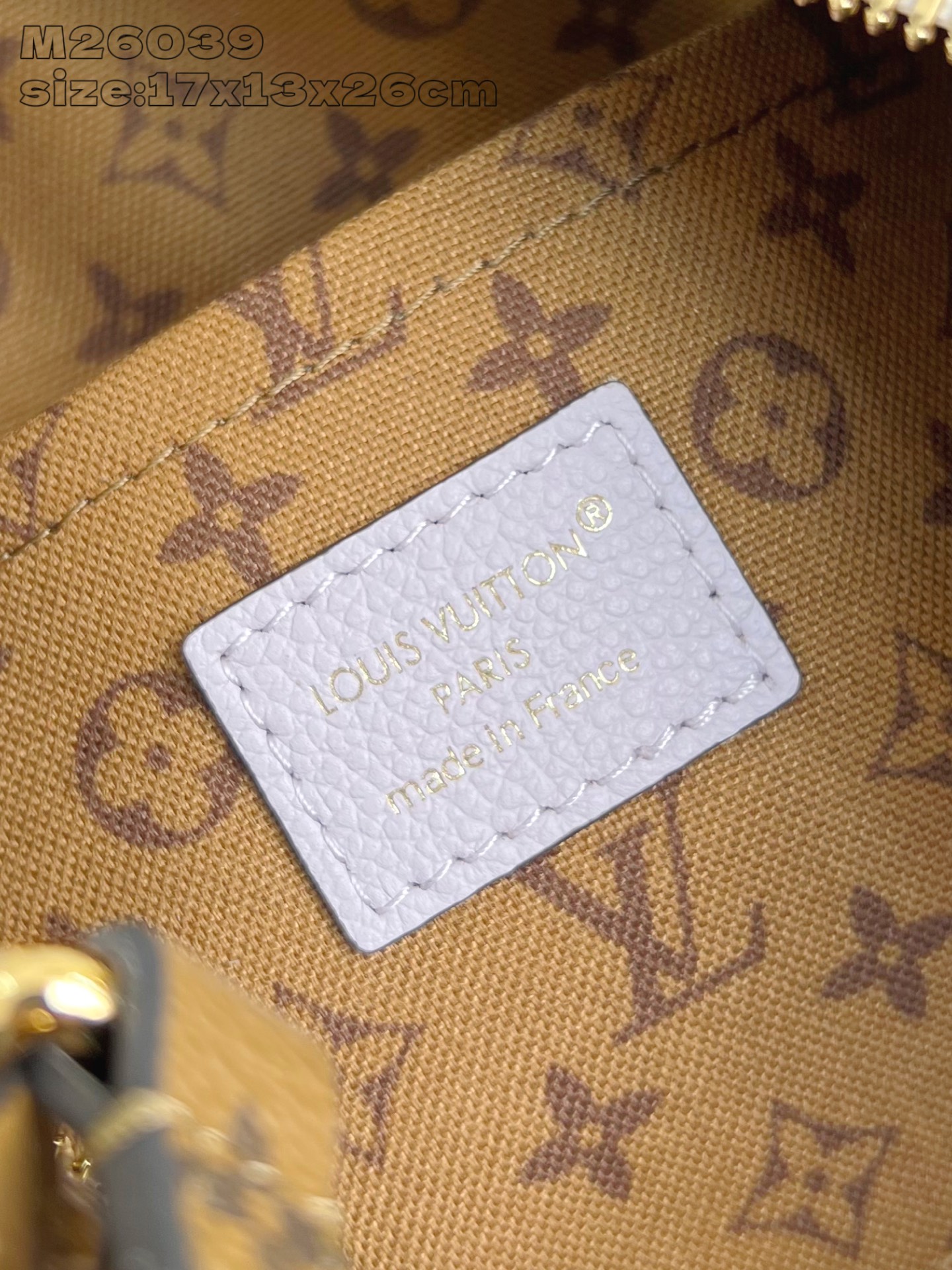 Louis Vuitton Basic Bag Cow Leather M-l-s