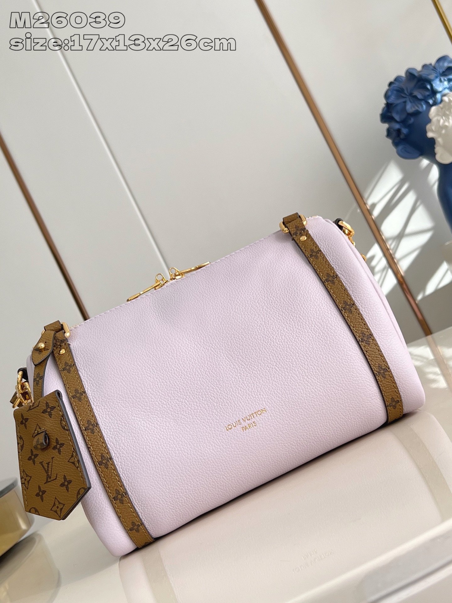 Louis Vuitton Basic Bag Cow Leather M-l-s