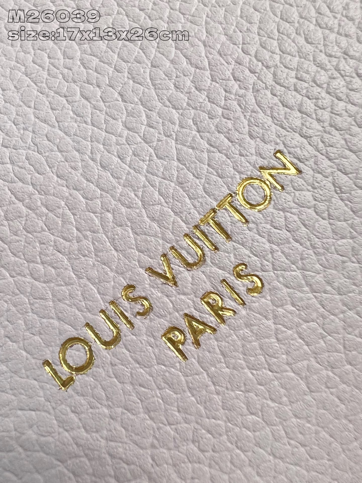 Louis Vuitton Basic Bag Cow Leather M-l-s