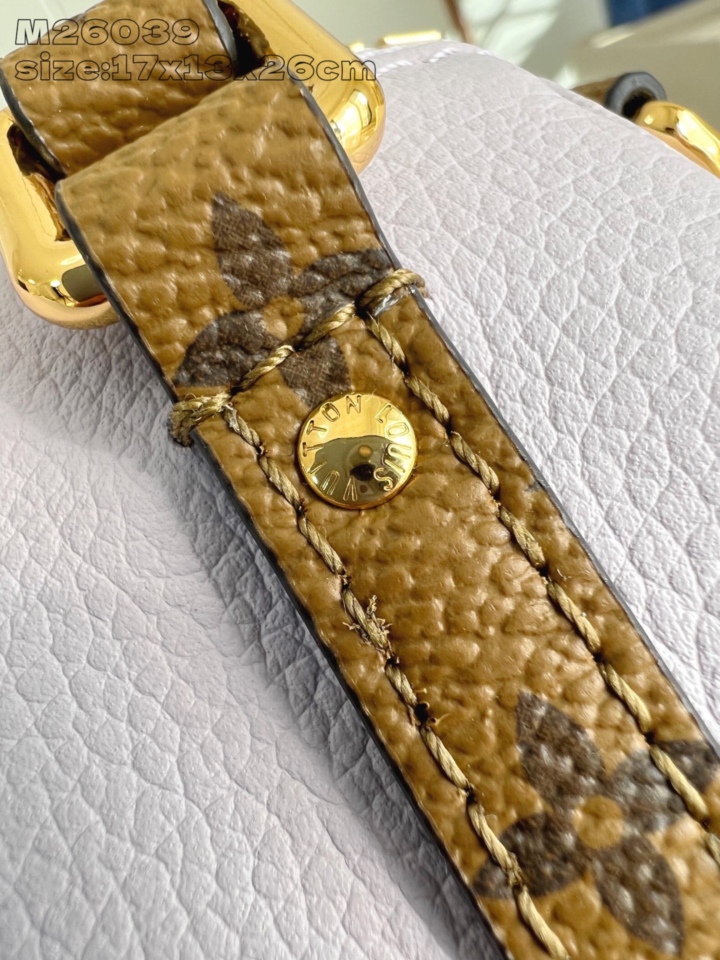 Louis Vuitton Basic Bag Cow Leather M-l-s