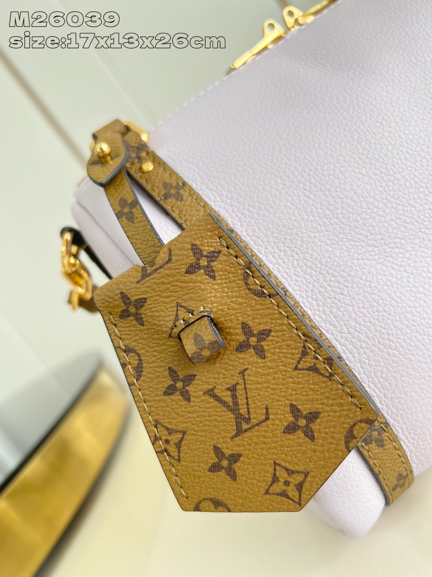 Louis Vuitton Basic Bag Cow Leather M-l-s