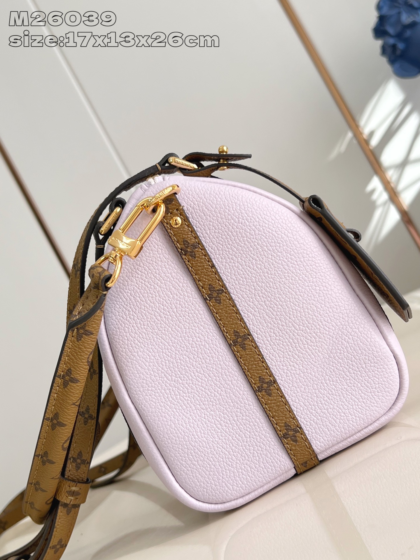 Louis Vuitton Basic Bag Cow Leather M-l-s