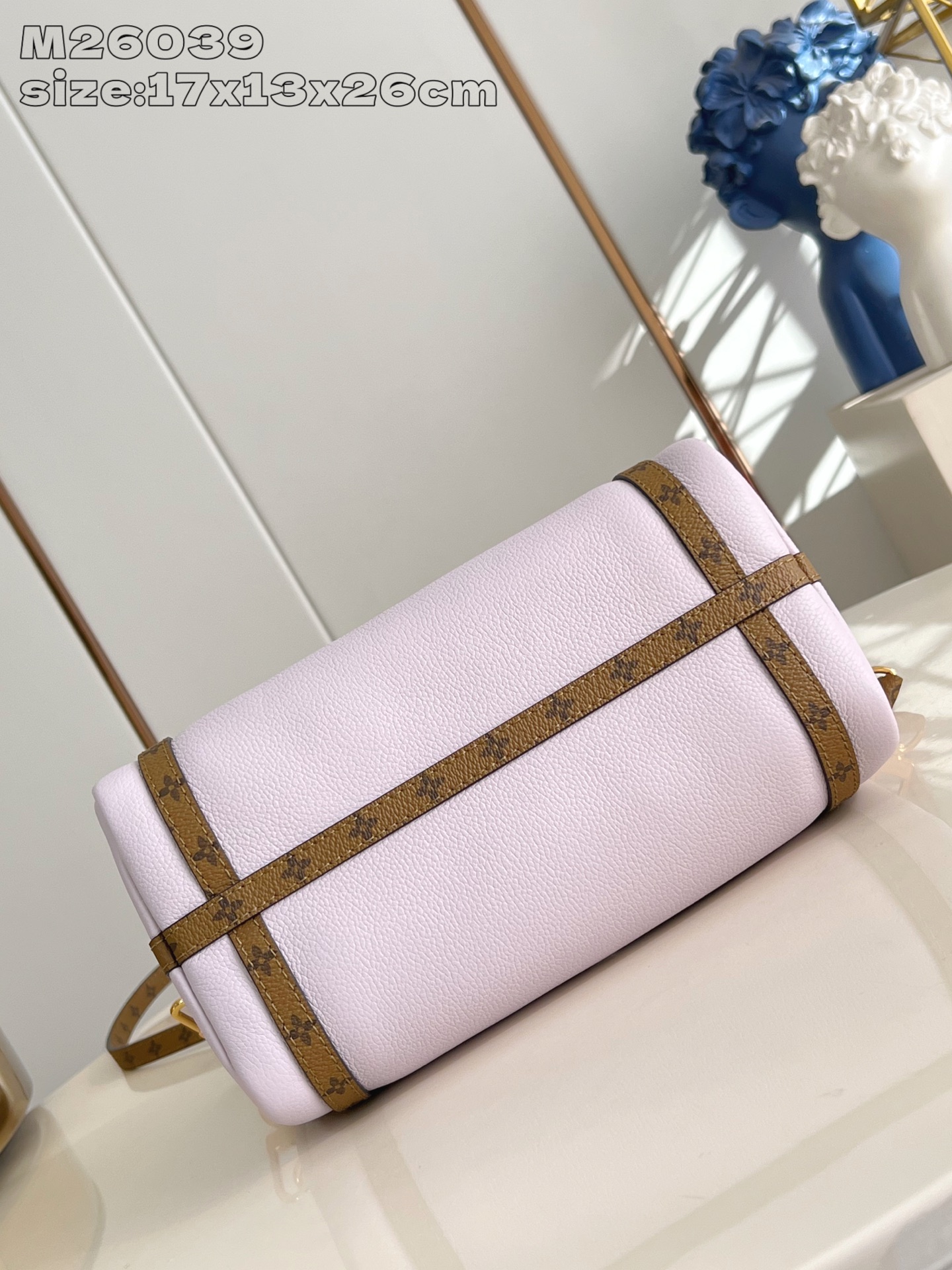 Louis Vuitton Basic Bag Cow Leather M-l-s