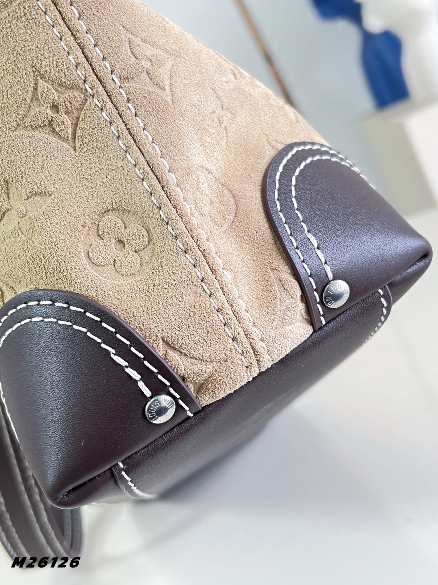 Louis Vuitton Basic Bag Canvas M-s