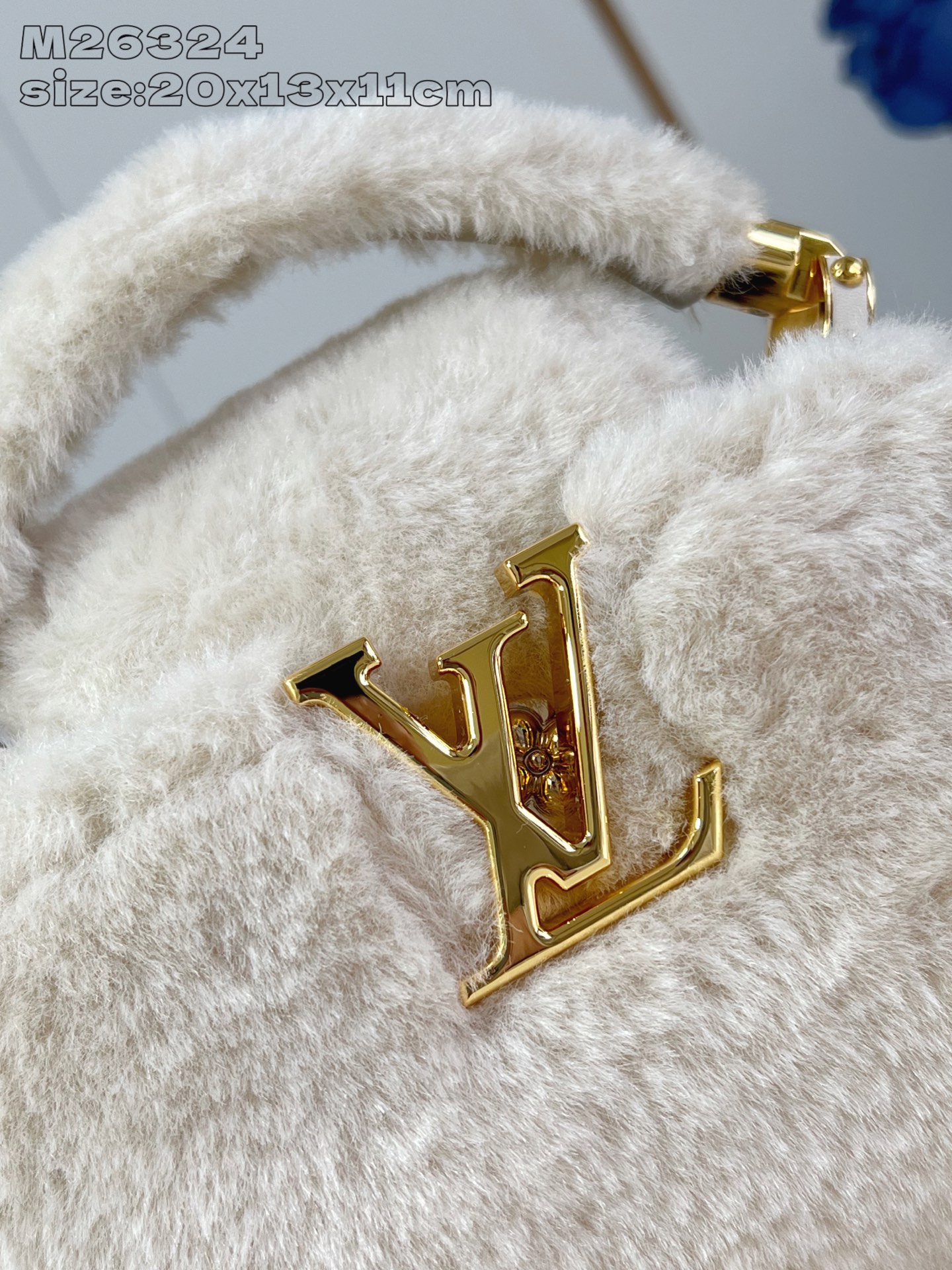 Louis Vuitton Basic Bag M-s