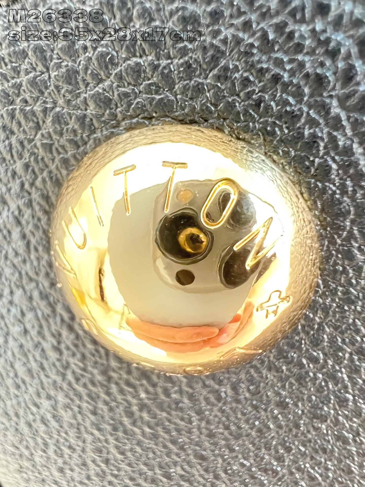 Louis Vuitton Basic Bag Cow Leather Gold M