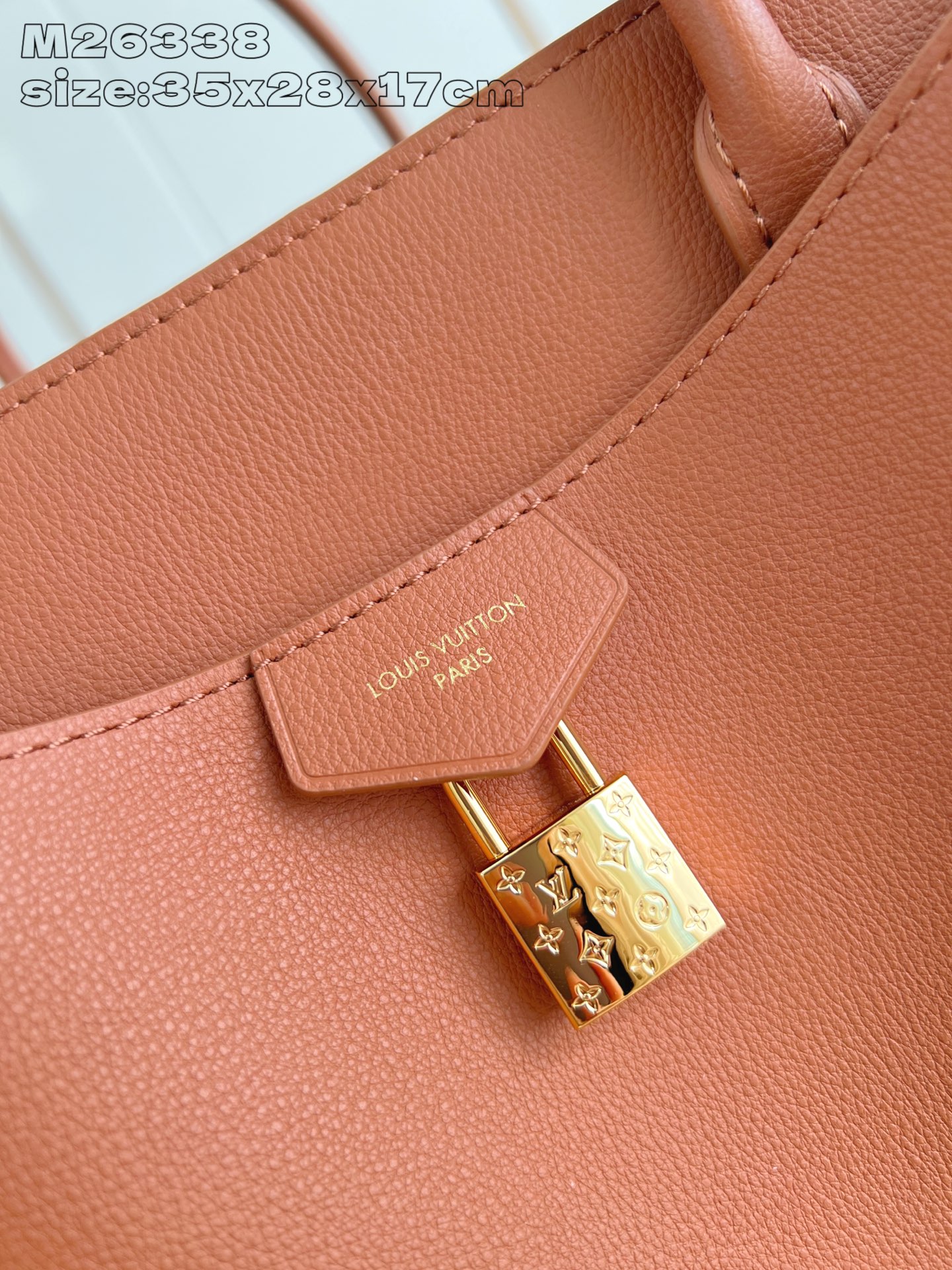 Louis Vuitton Basic Bag Cow Leather Gold M