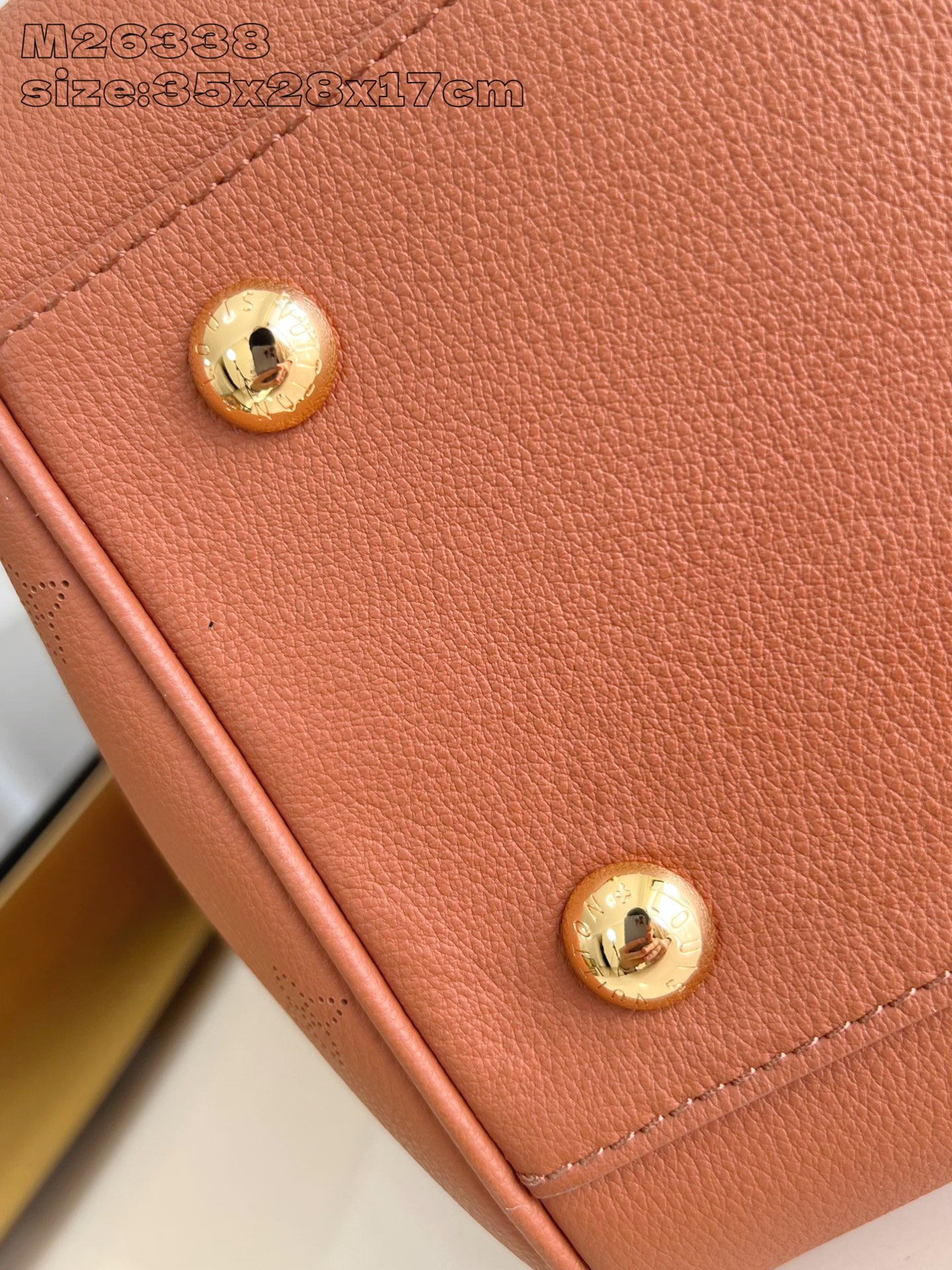 Louis Vuitton Basic Bag Cow Leather Gold M