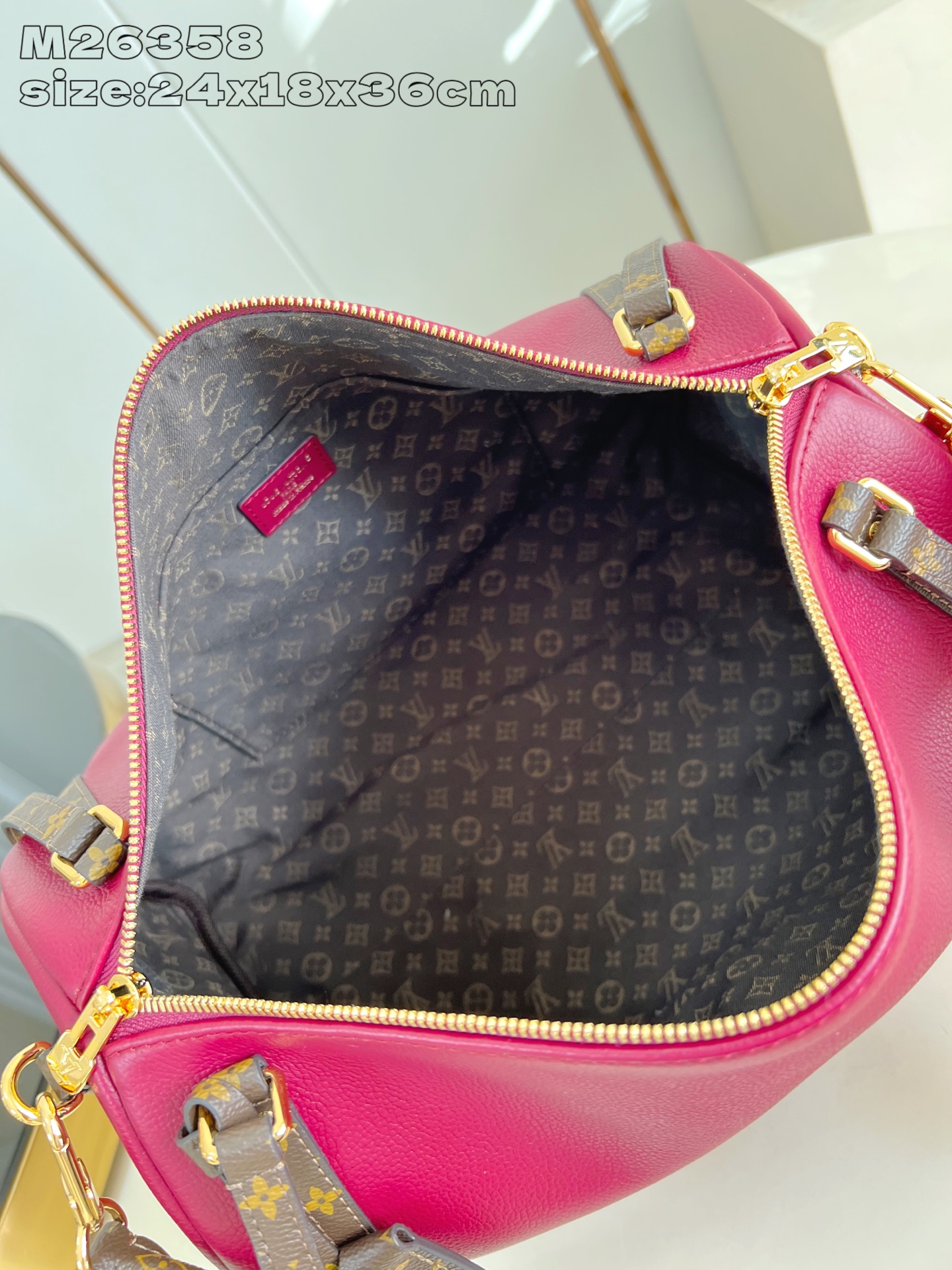 Louis Vuitton Female Basic Bag Cow Leather M-s
